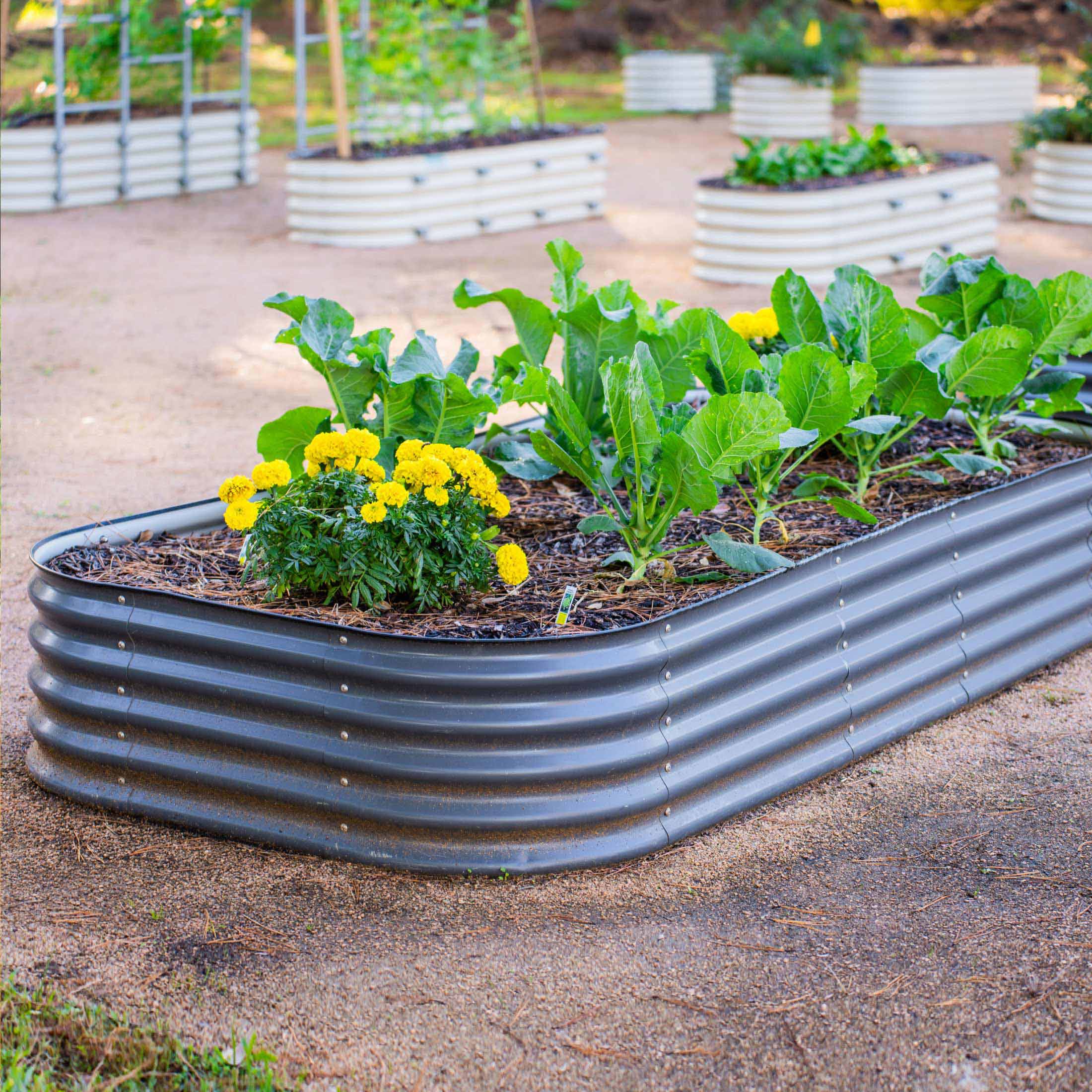 17" Tall 10 In 1 Jumbo Modular Metal Raised Garden Bed Kit - Image 18