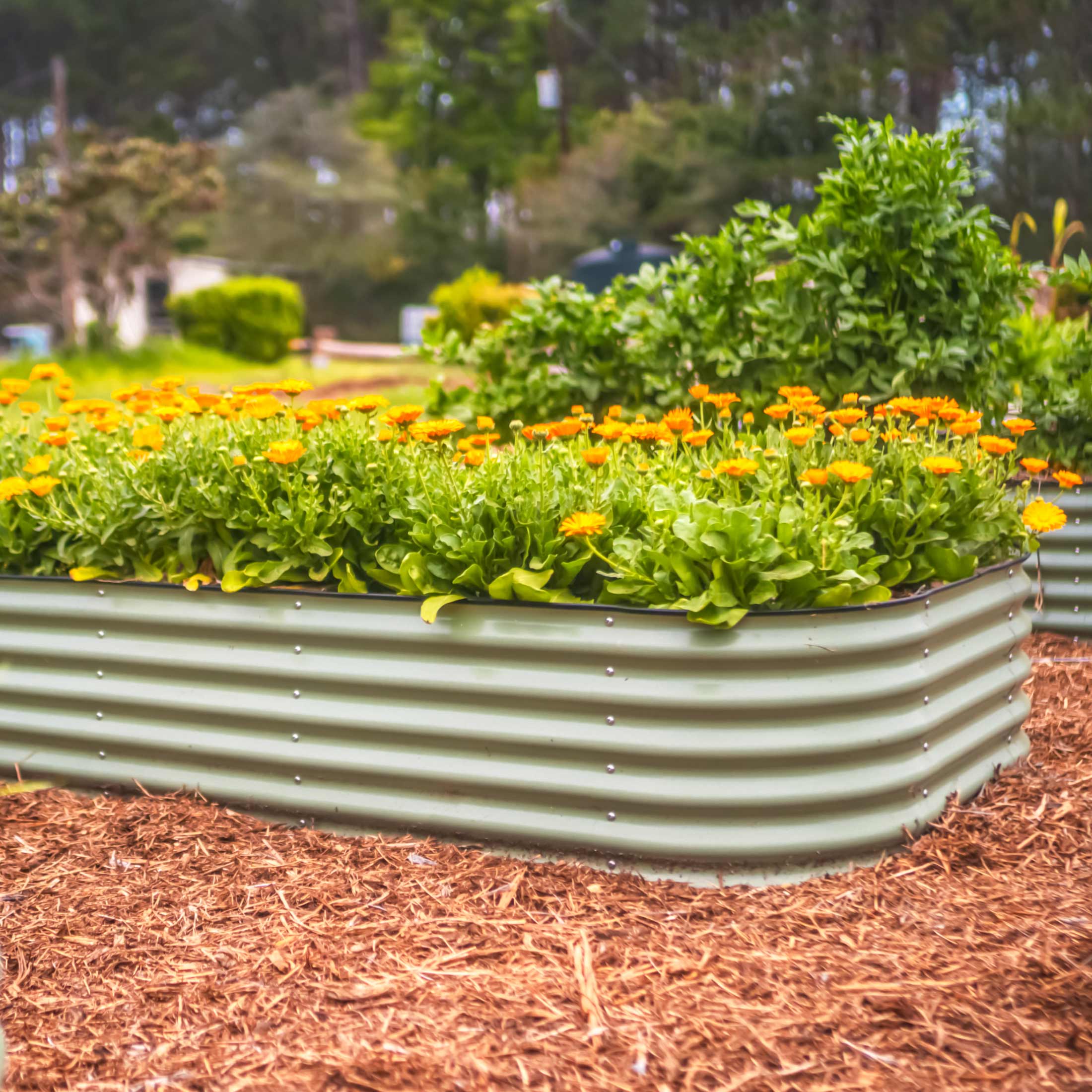17" Tall 10 In 1 Jumbo Modular Metal Raised Garden Bed Kit - Image 19