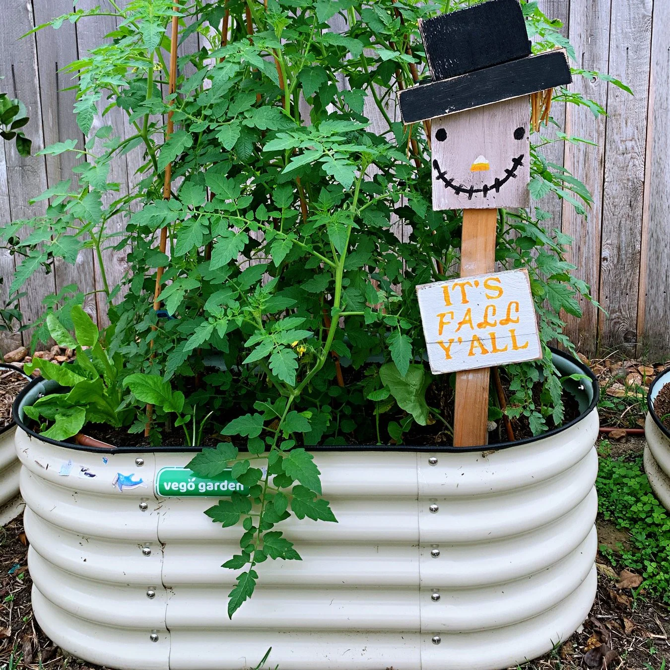 17" Tall Kids First Garden Bed 42" x 24" - Image 10