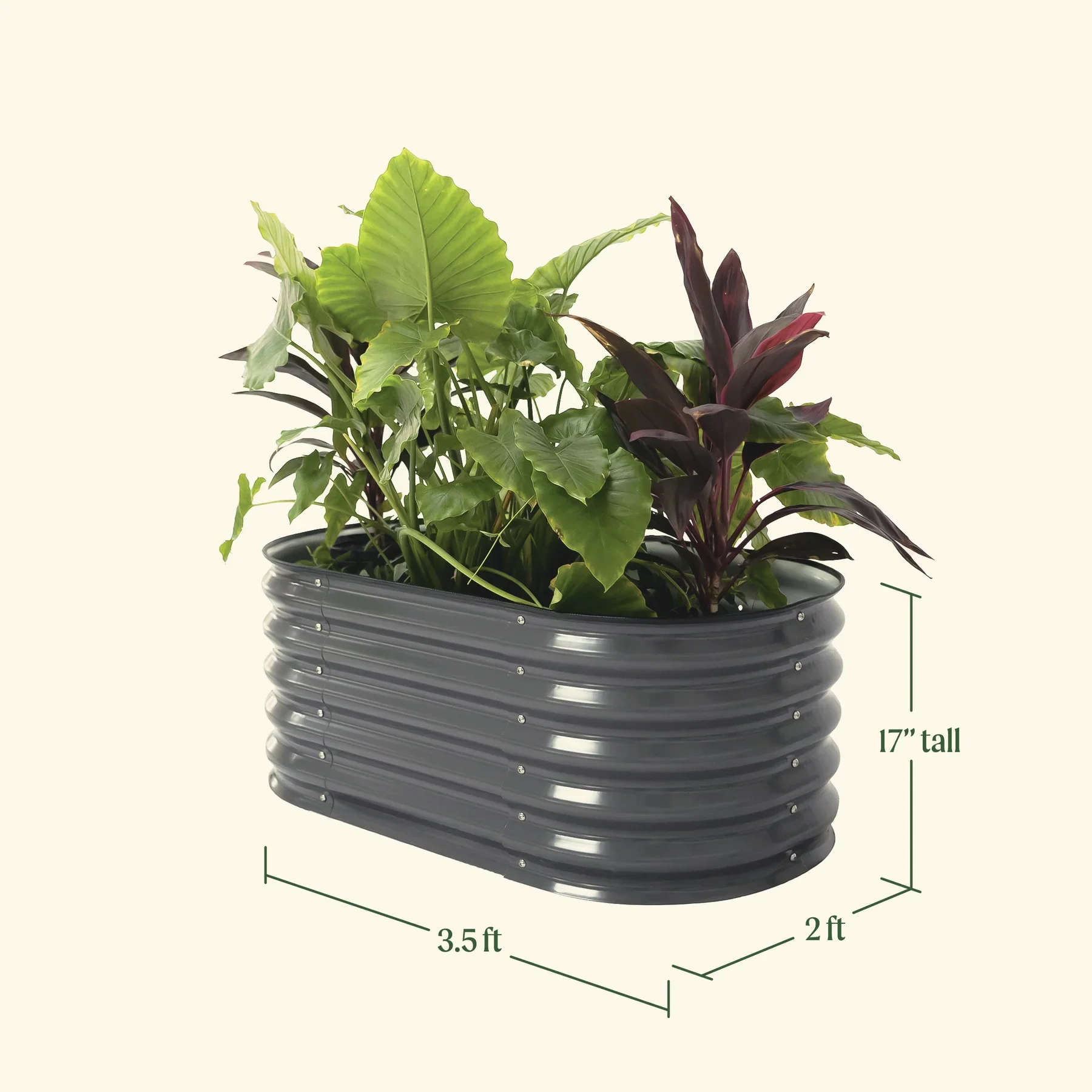 17" Tall Kids First Garden Bed 42" x 24" - Image 14