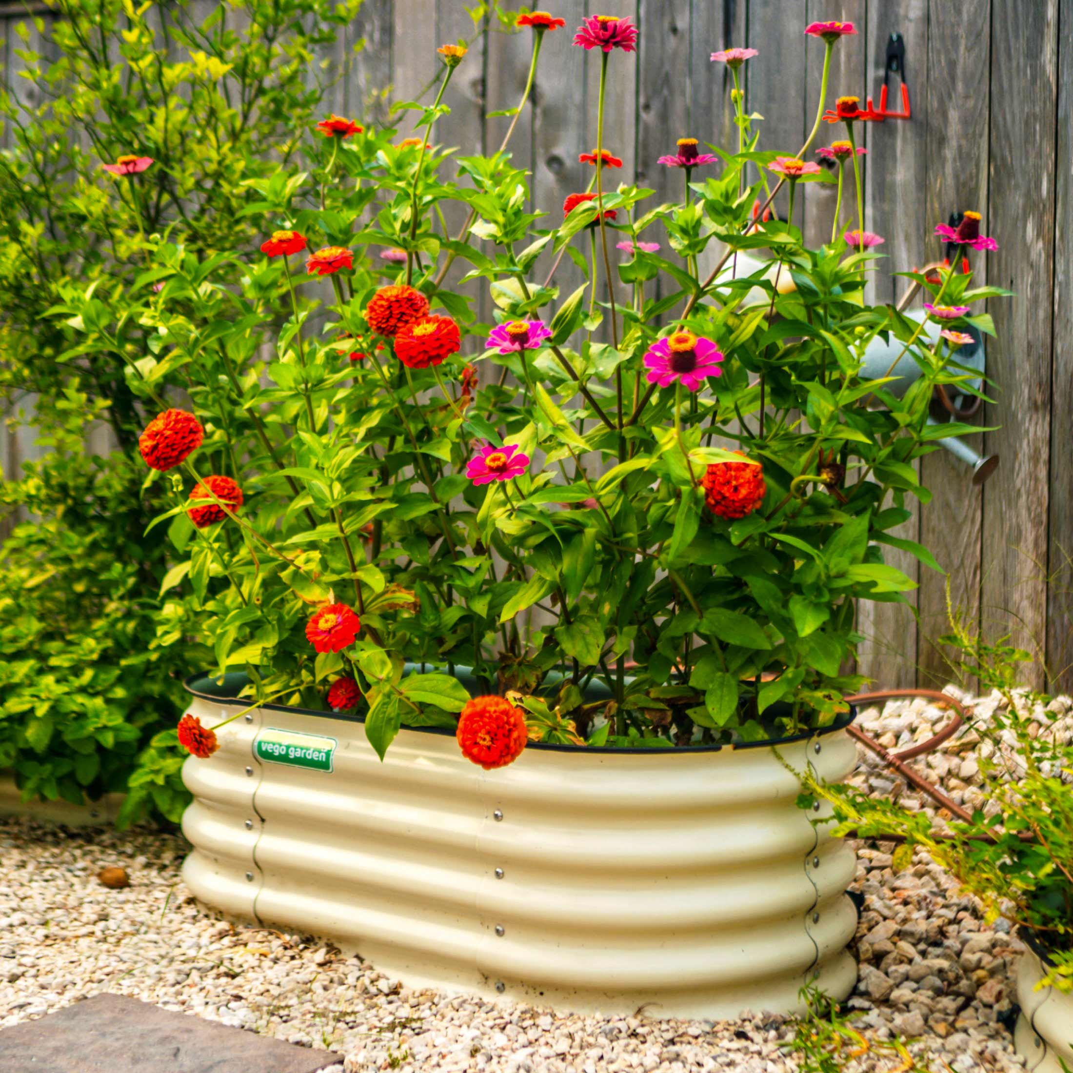 17" Tall Kids First Garden Bed 42" x 24" - Image 5
