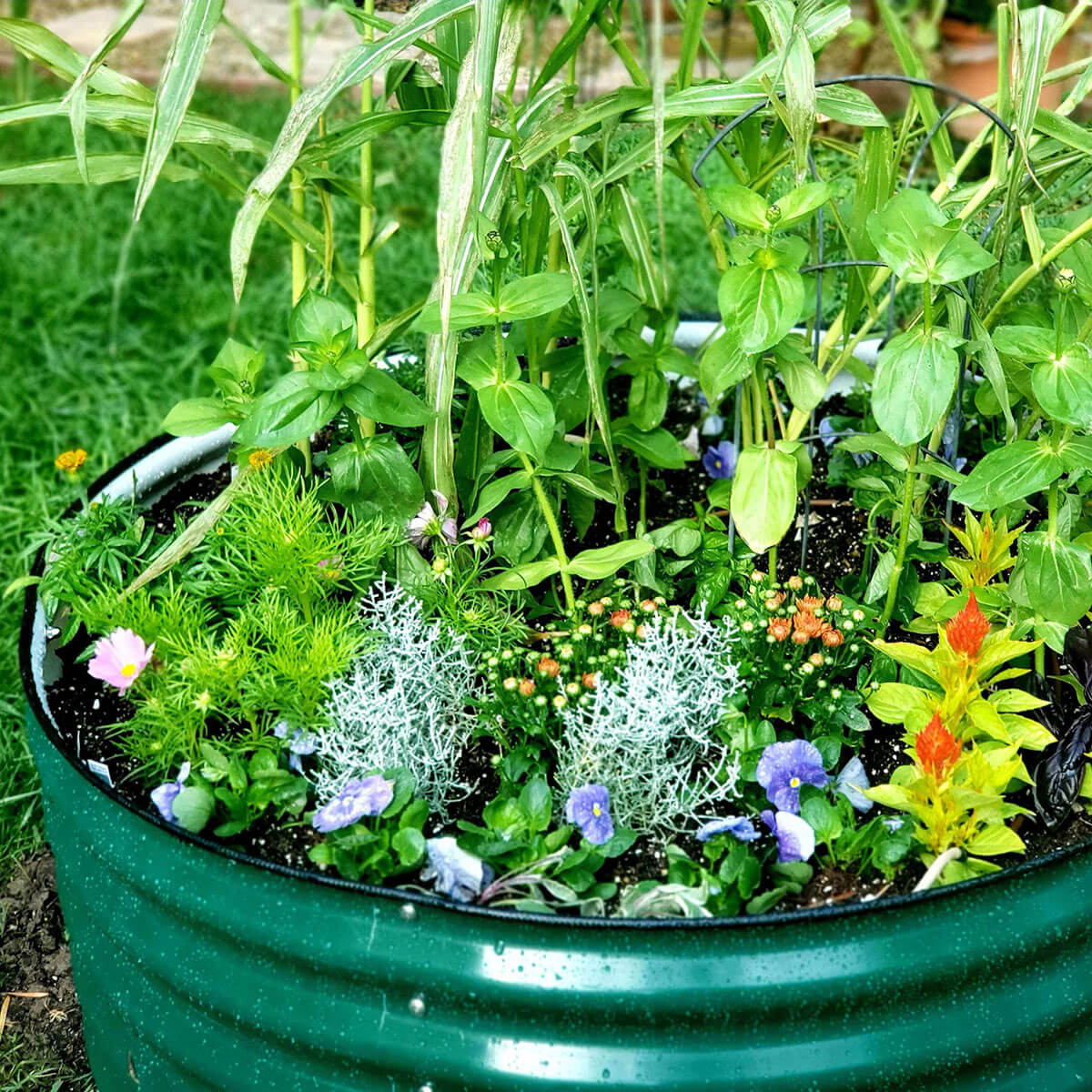 17" Tall 42" Wide Round Metal Raised Garden Bed Kit - Image 10