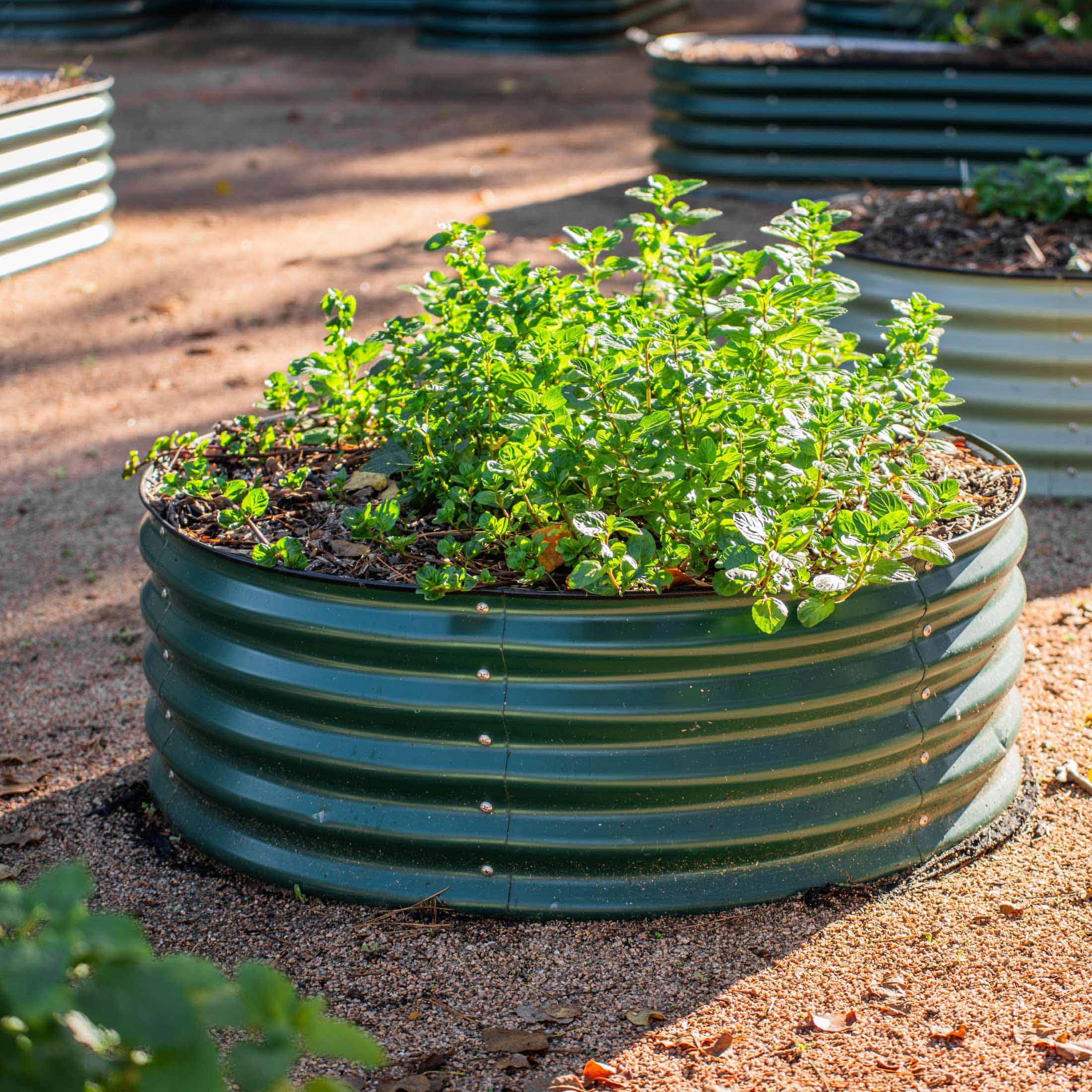 17" Tall 42" Wide Round Metal Raised Garden Bed Kit - Image 7