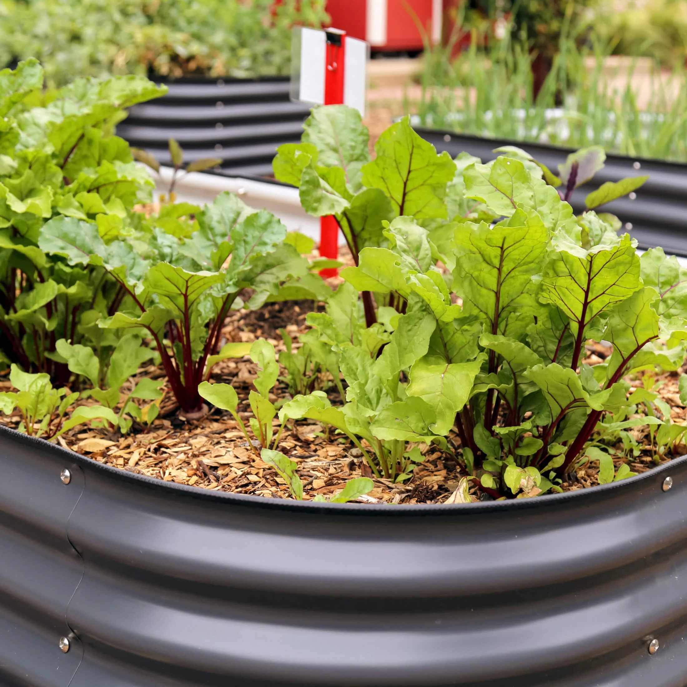 26" Tall 4 In 1 Small Modular Metal Raised Garden Bed Kit - Image 12