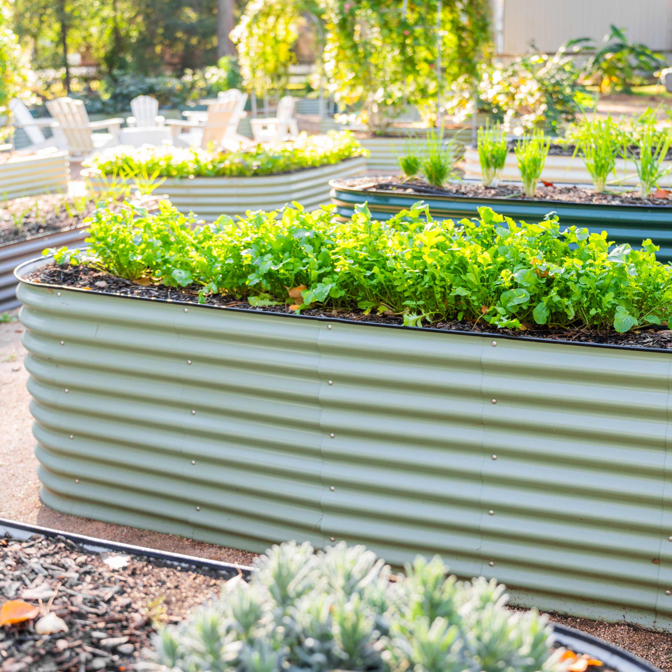 32" Extra Tall 10 In 1 Jumbo Modular Metal Raised Garden Bed Kit - Image 16