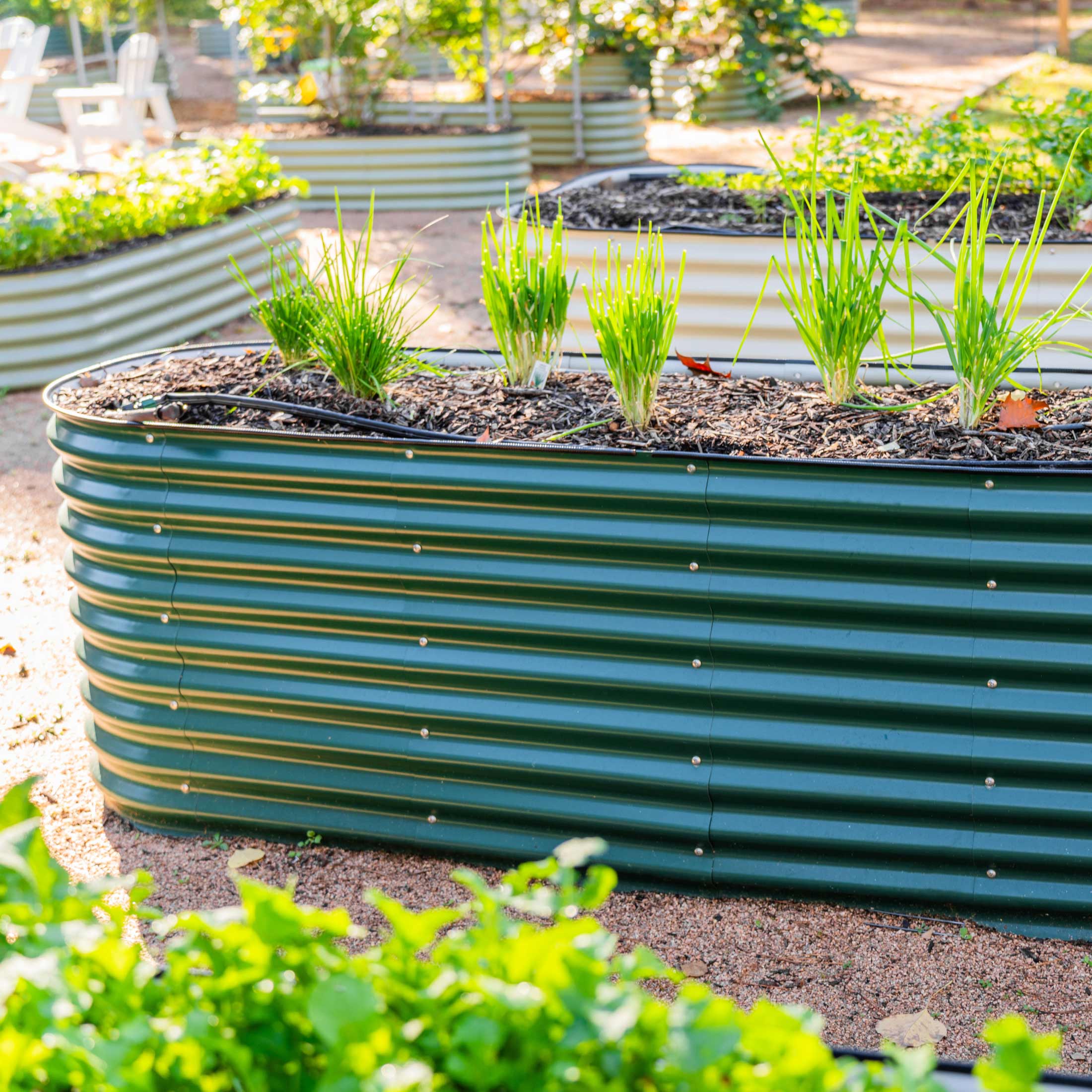 32" Extra Tall 9 In 1 Large Modular Metal Raised Garden Bed Kit - Image 16