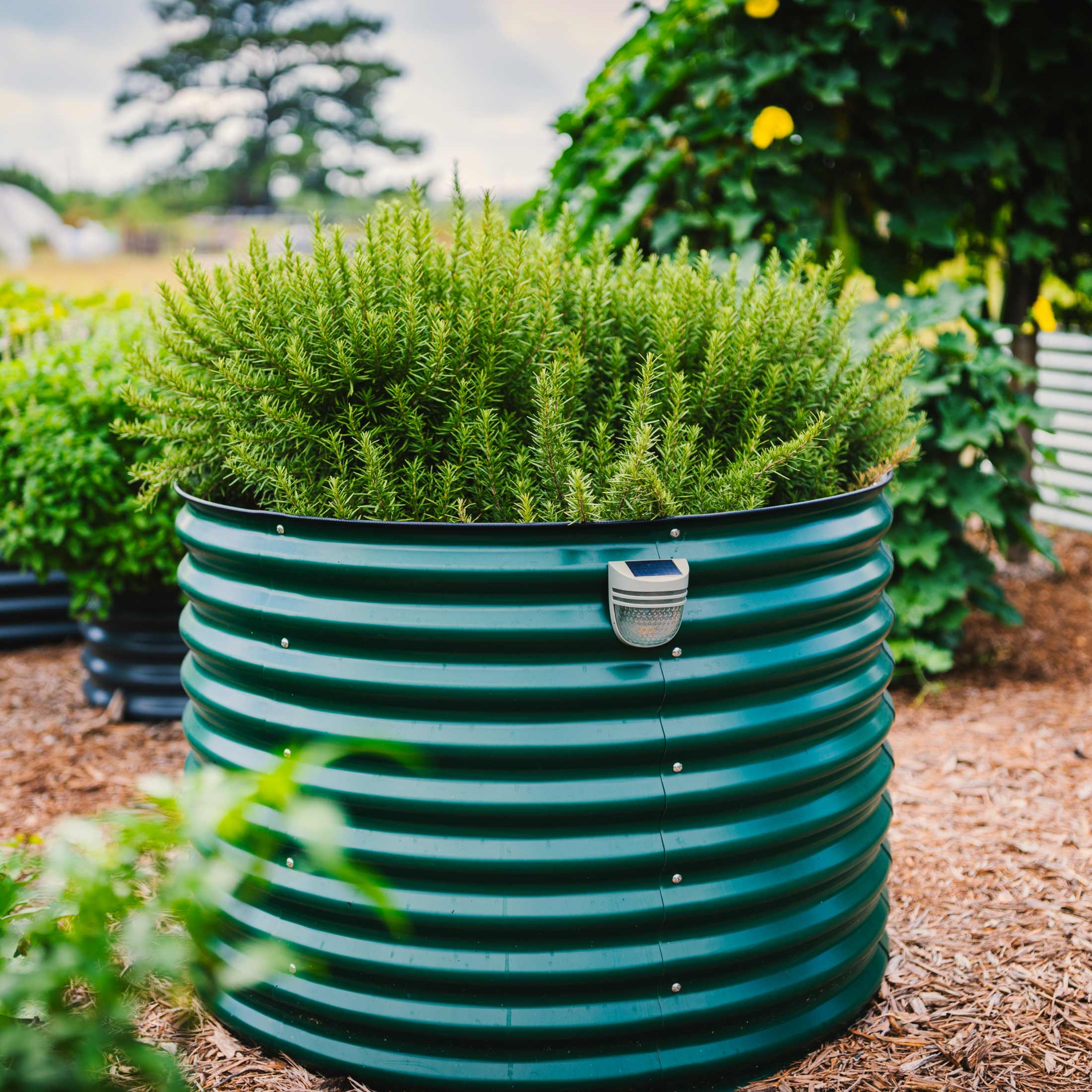 32" Extra Tall 42" Wide Round Metal Raised Garden Bed Kit - Image 13