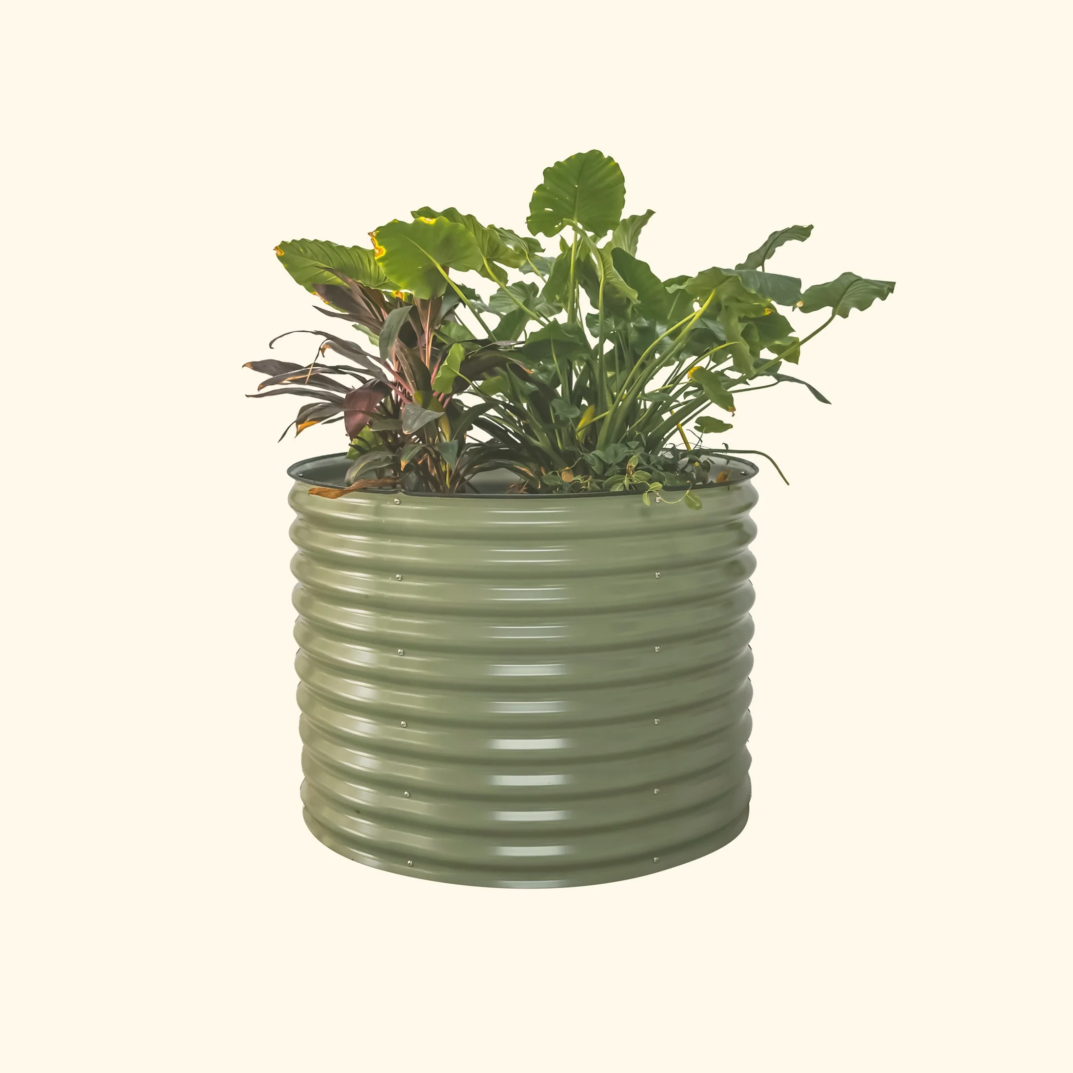 32" Extra Tall 42" Wide Round Metal Raised Garden Bed Kit - Image 3