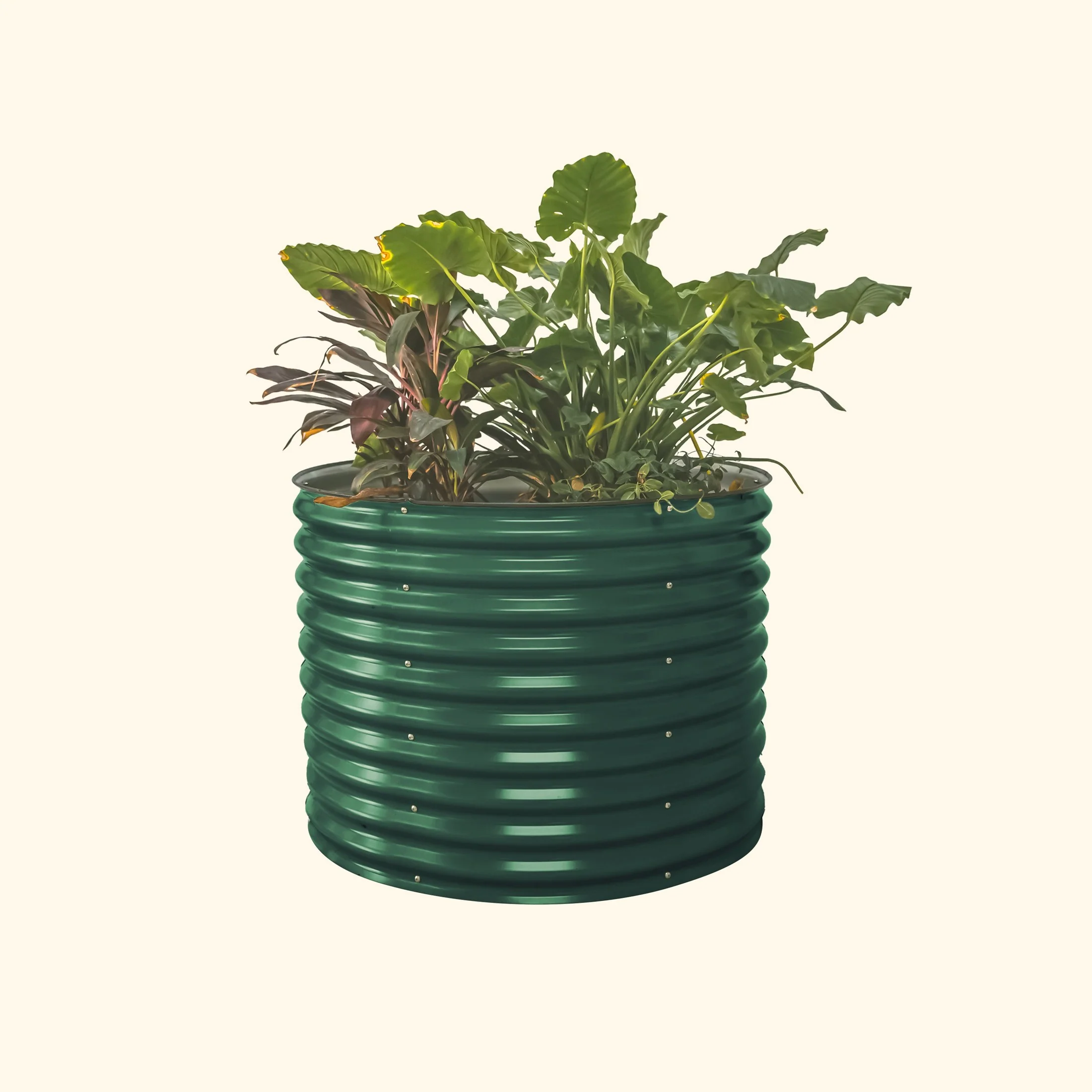 32" Extra Tall 42" Wide Round Metal Raised Garden Bed Kit - Image 4
