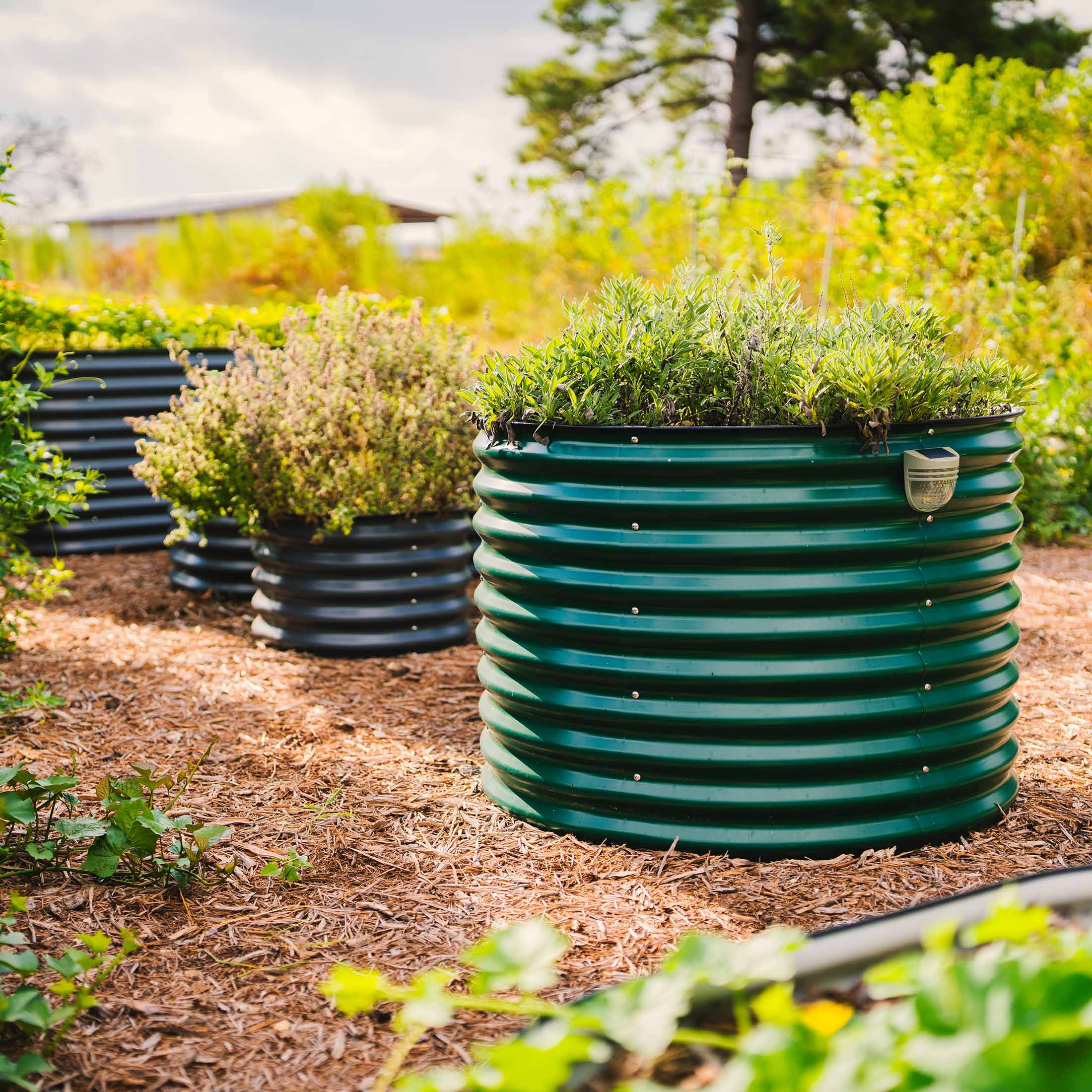 32" Extra Tall 42" Wide Round Metal Raised Garden Bed Kit - Image 5
