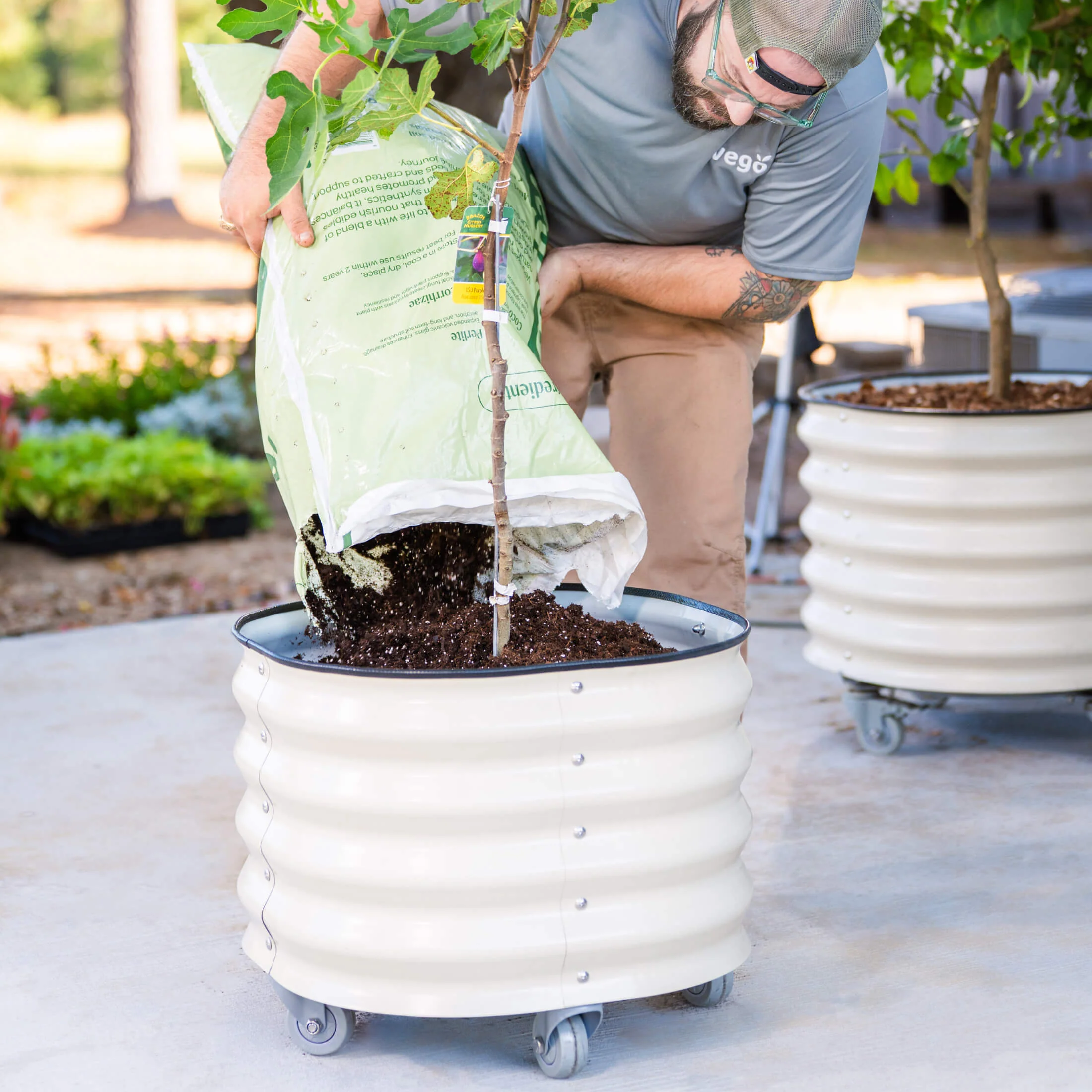 Classic Rolling Citrus Tree Planter - 20 Gallon - Image 15