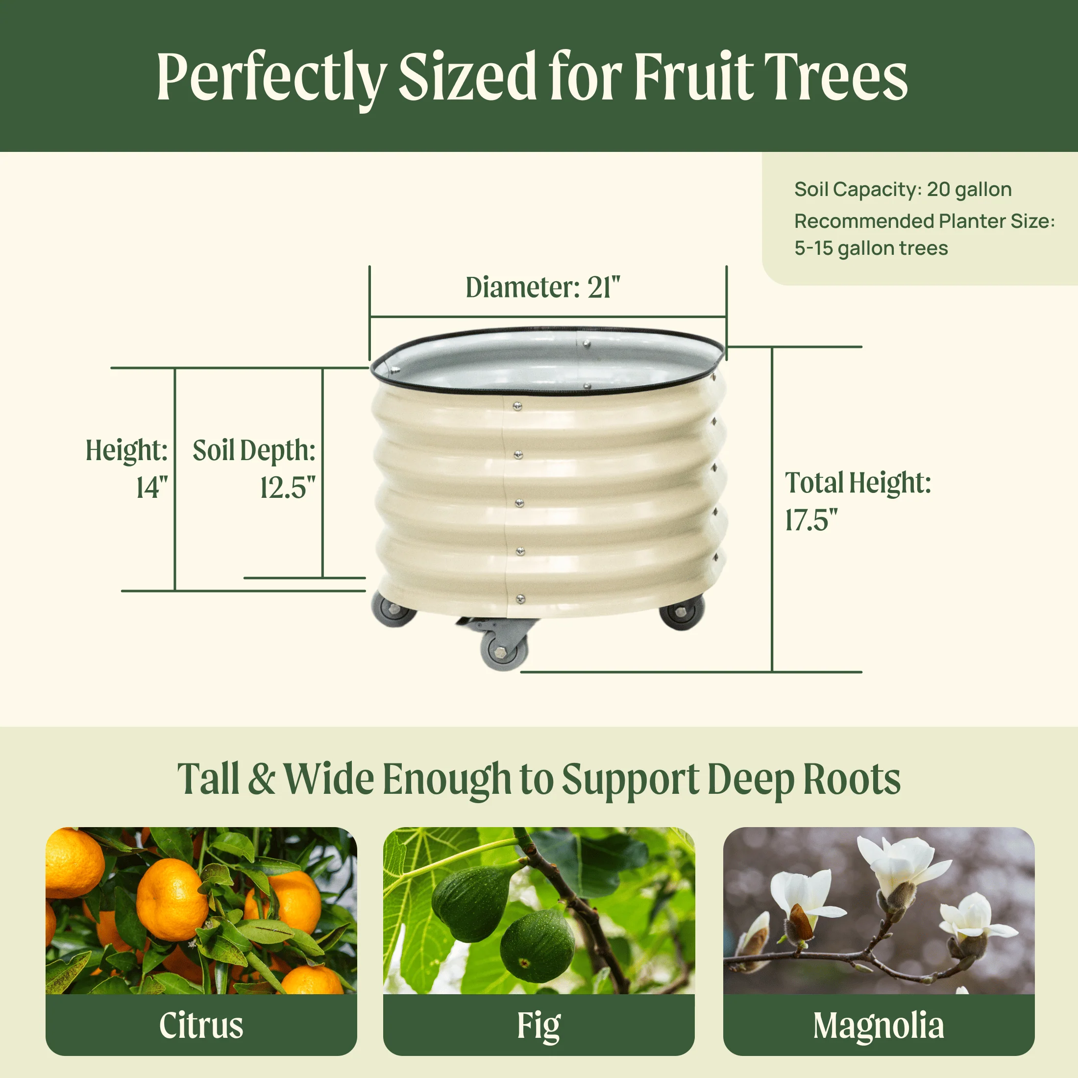 Classic Rolling Citrus Tree Planter - 20 Gallon - Image 6