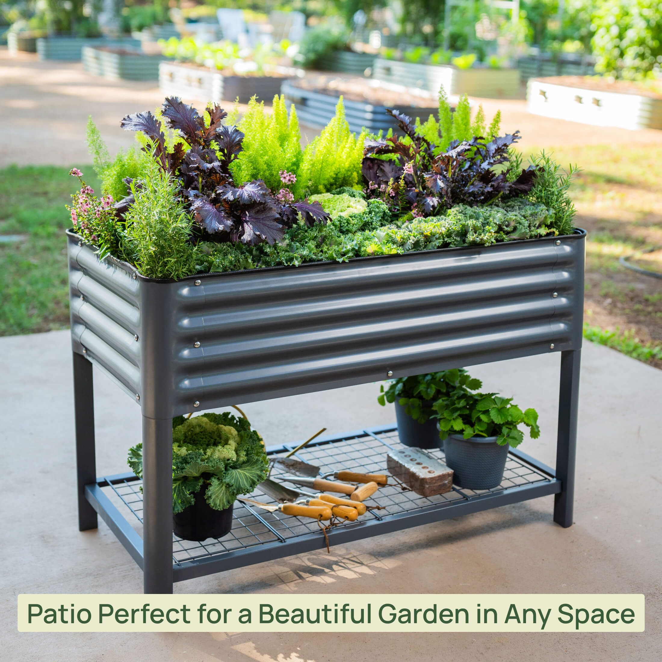 Elevated Garden Bed - 2' x 4' Wheels Included - Image 11
