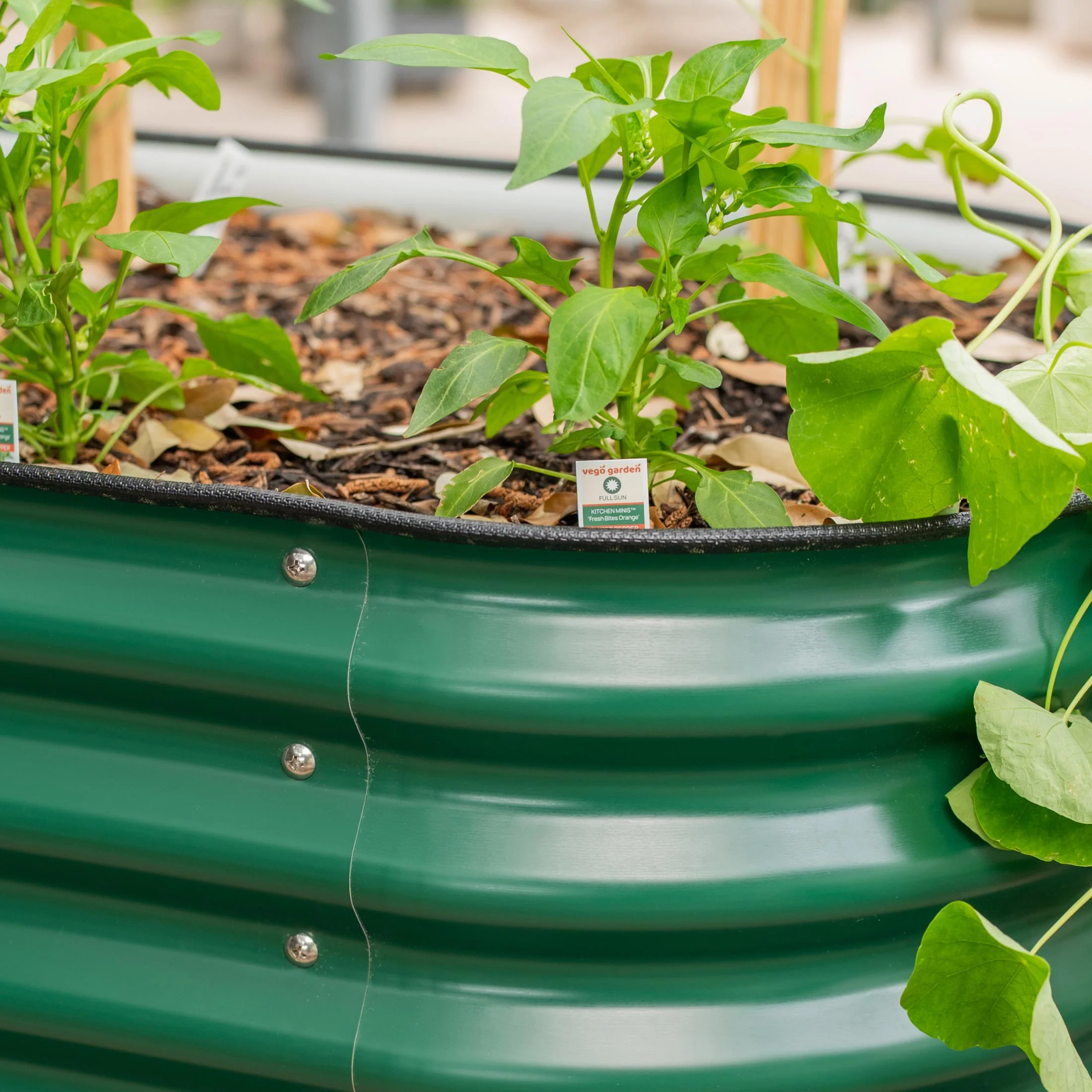 Self-Watering Elevated Garden Bed - Image 22