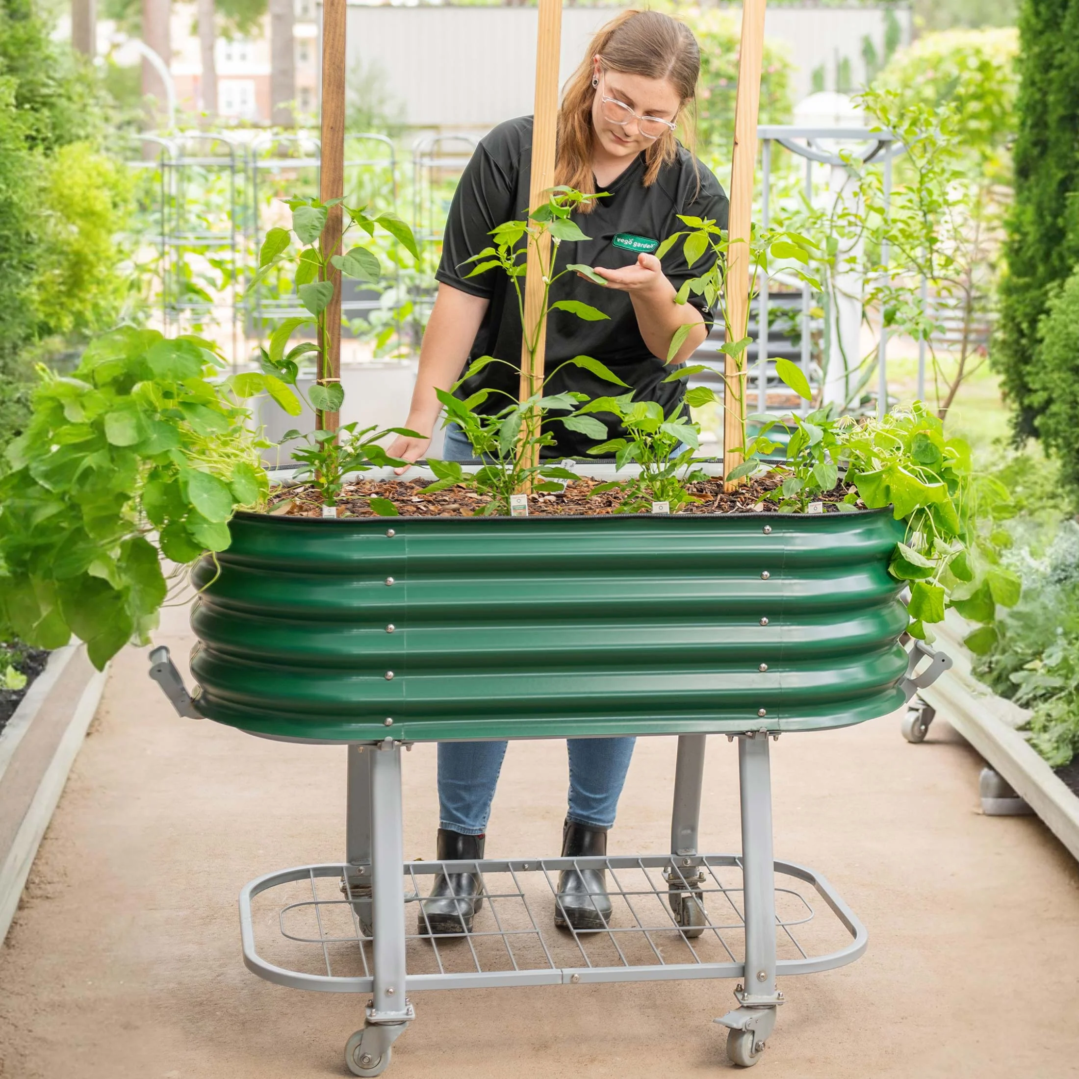 Self-Watering Elevated Garden Bed - Image 9