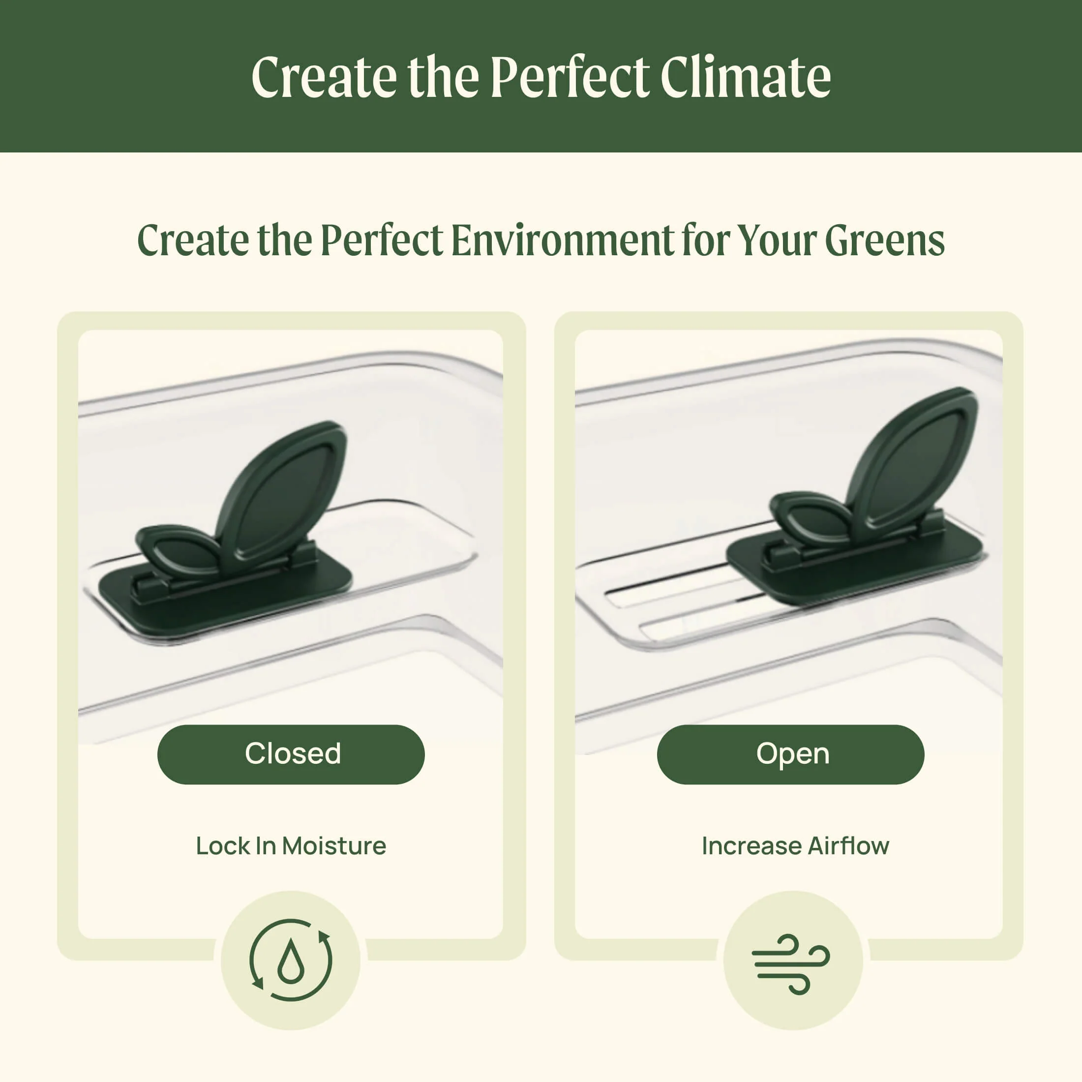2-Pack EZ Microgreens Planter - Image 14