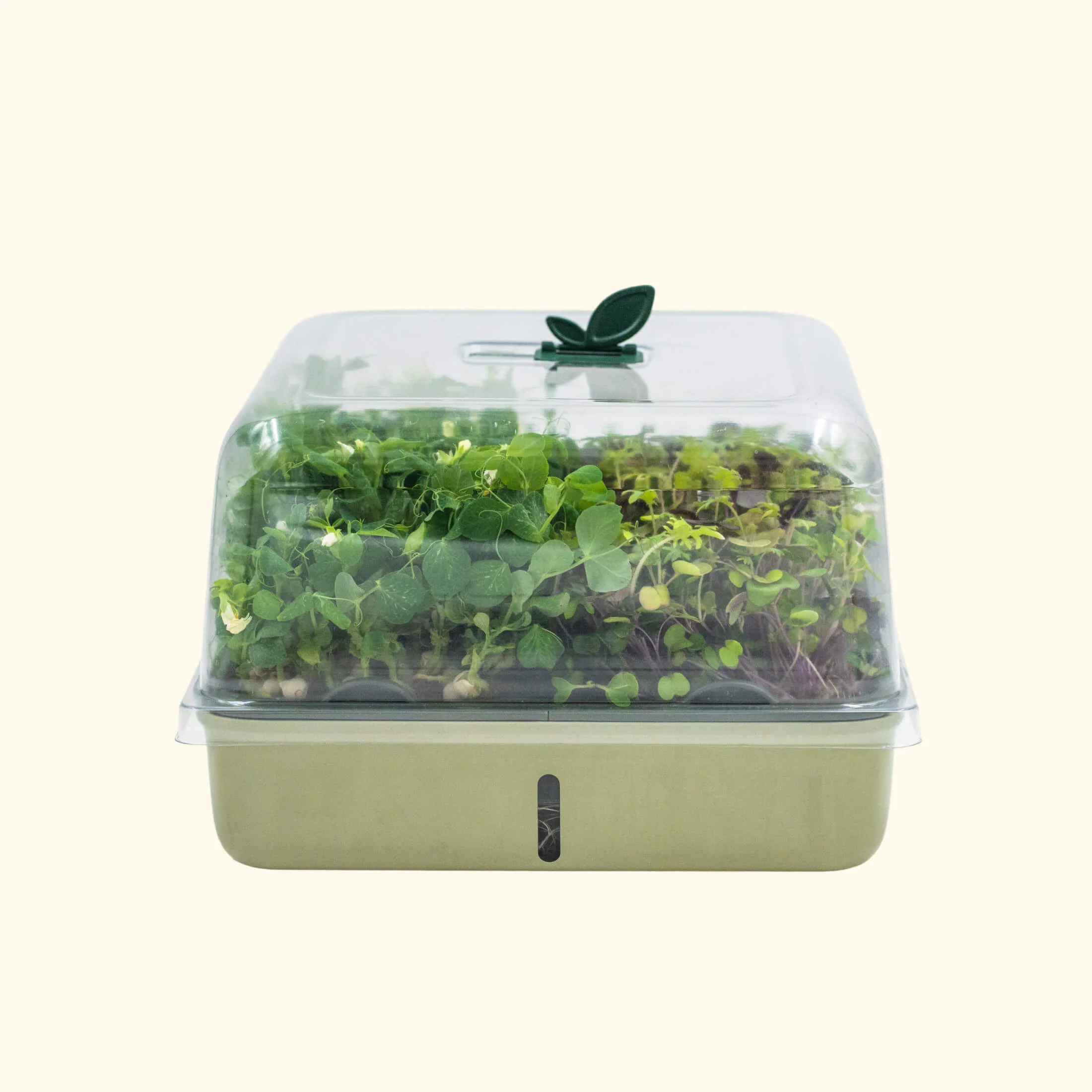 2-Pack EZ Microgreens Planter - Image 3