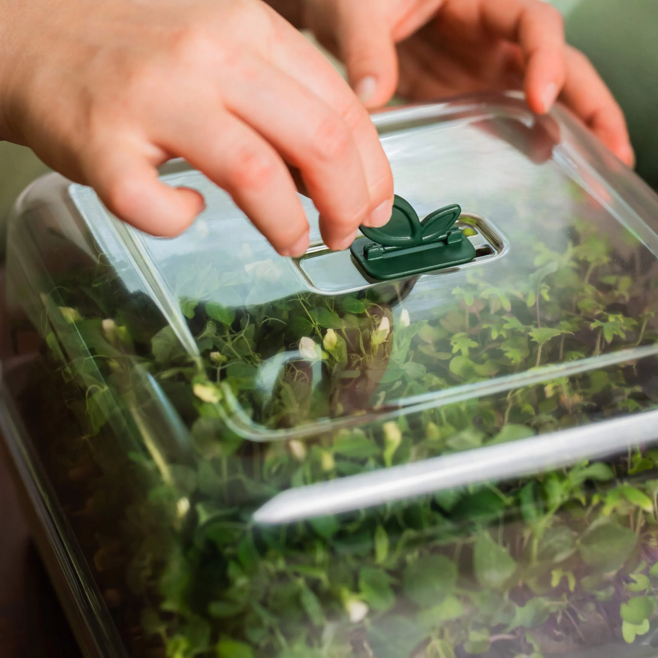 2-Pack EZ Microgreens Planter - Image 7