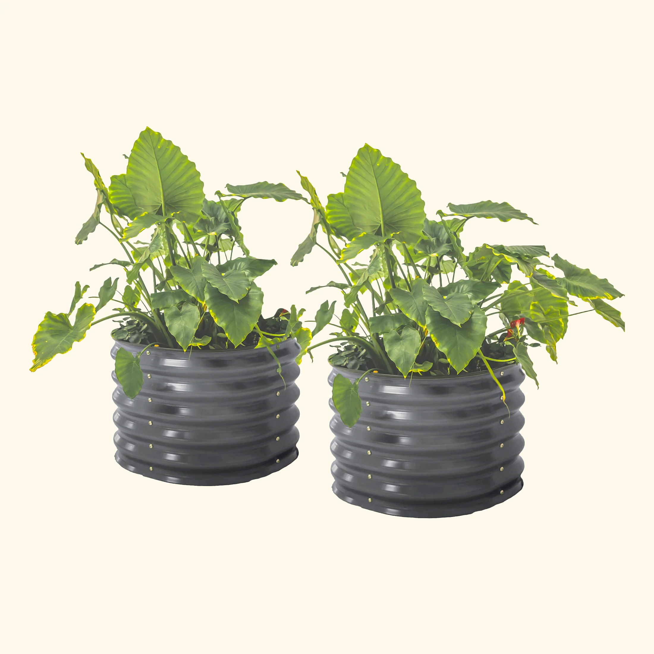 17" Tall Herb Garden Bed 24" Wide - Twin Pack - Image 4
