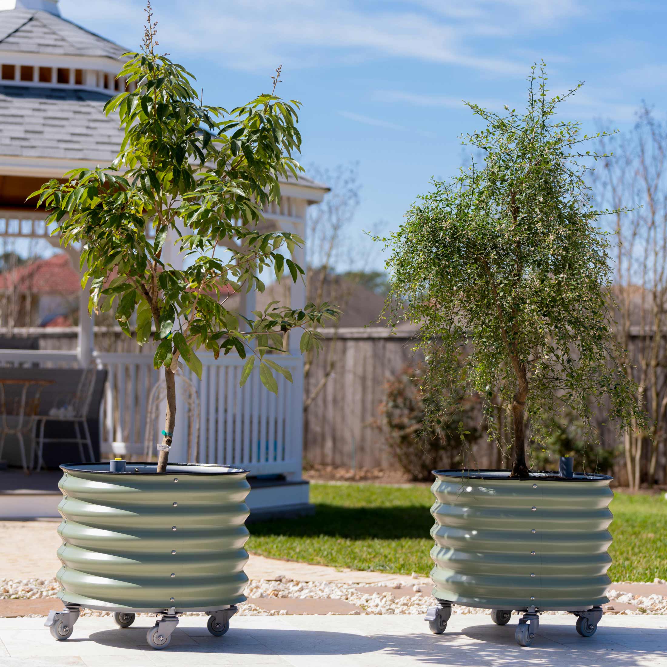 Self-Watering Rolling Citrus Tree Planter - 30 Gallon - Image 16