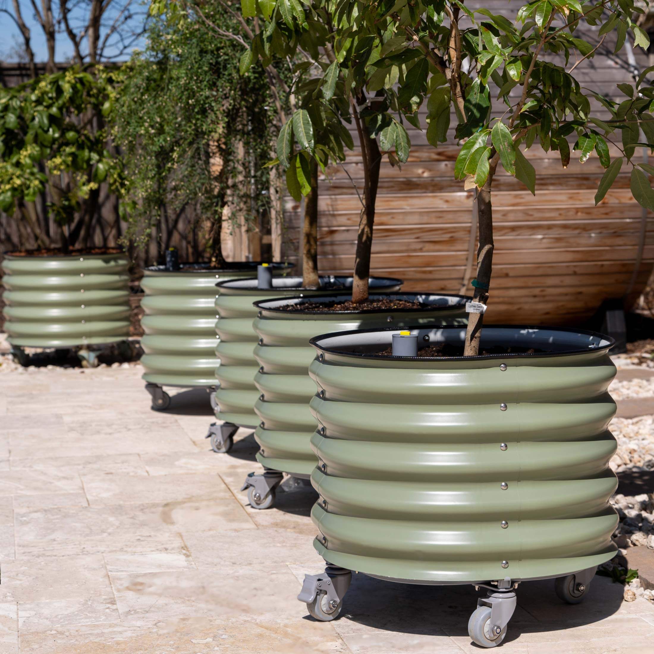Self-Watering Rolling Citrus Tree Planter - 30 Gallon - Image 17