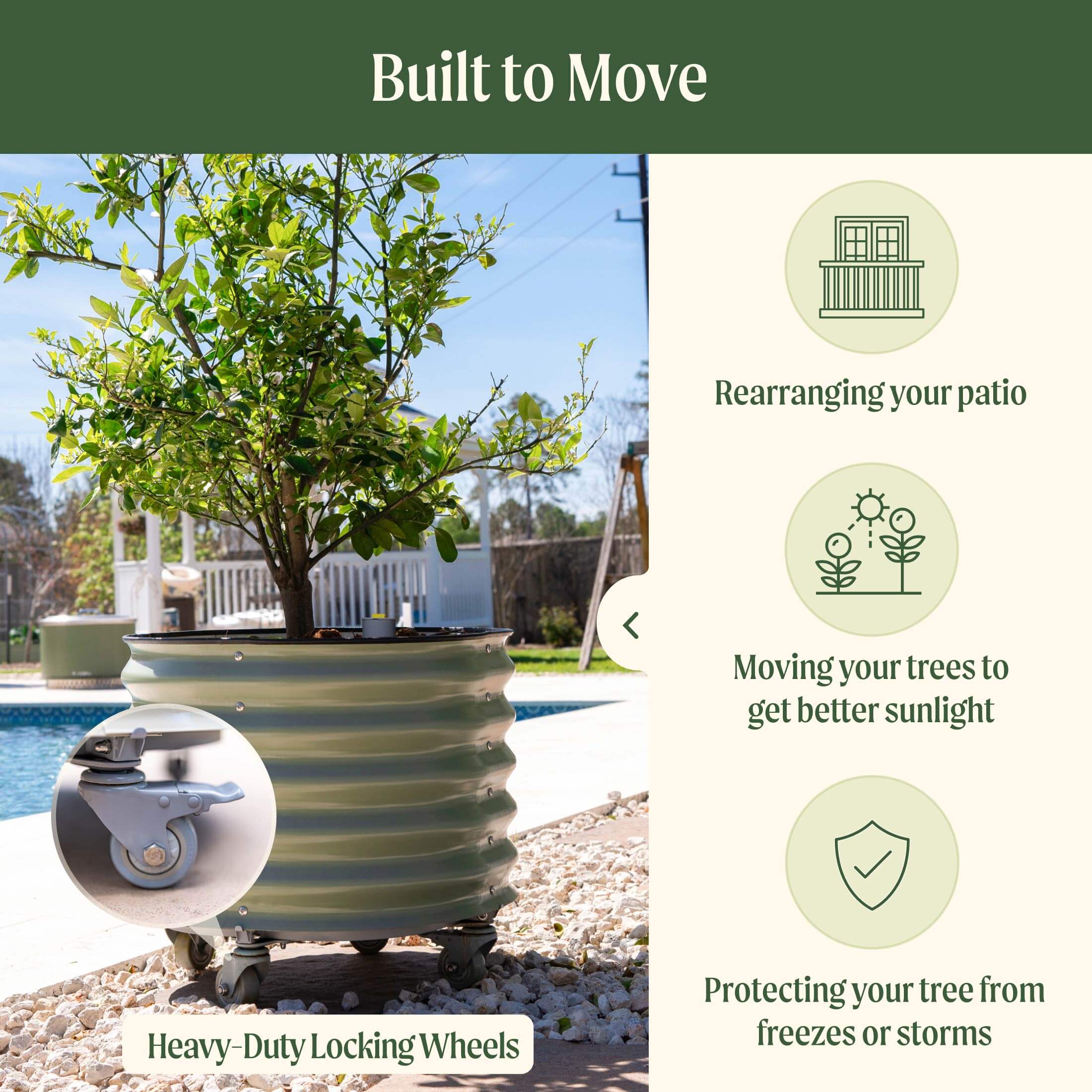 Self-Watering Rolling Citrus Tree Planter - 30 Gallon - Image 7