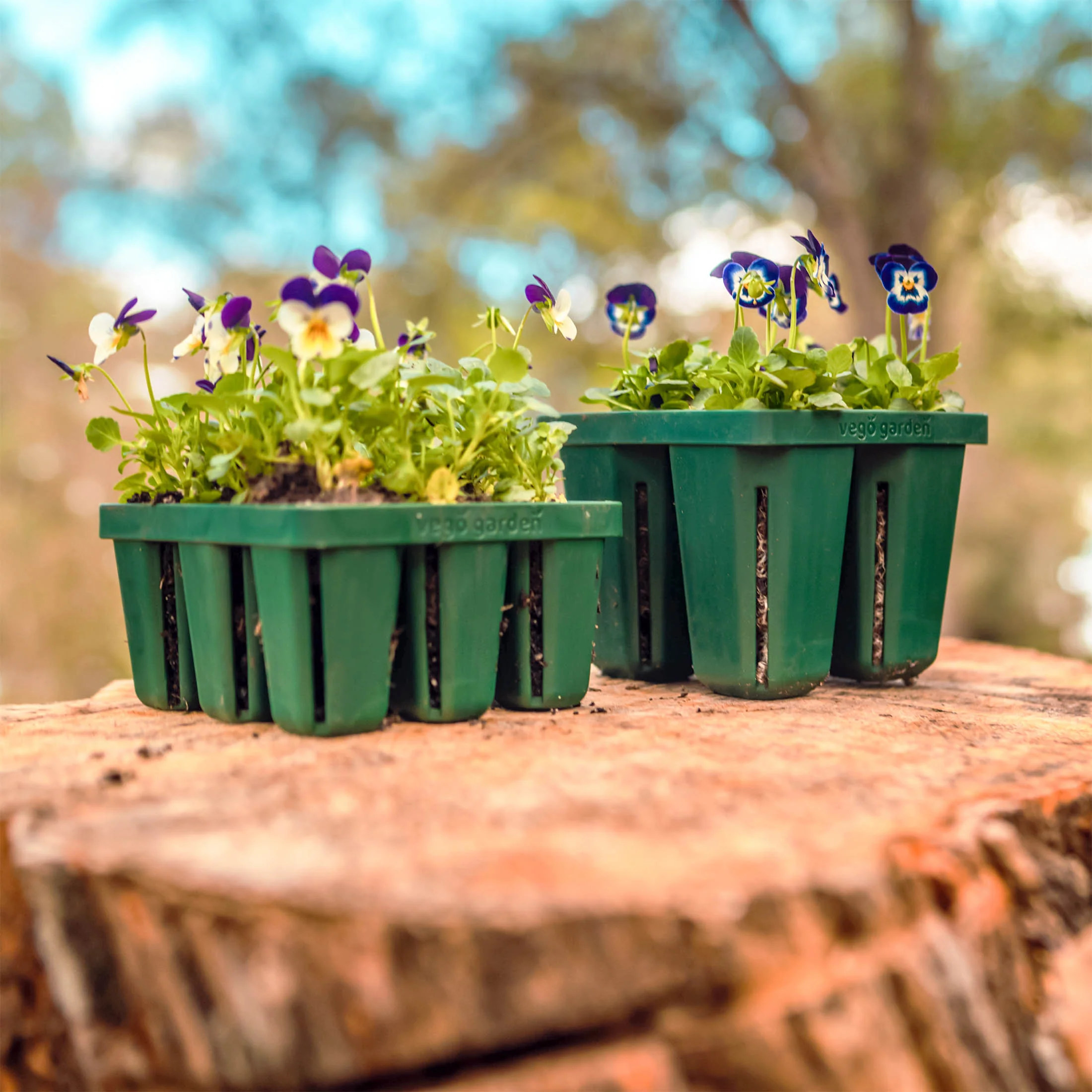 Seed Starting Bundle with Lid - 10" x 20" - Image 11