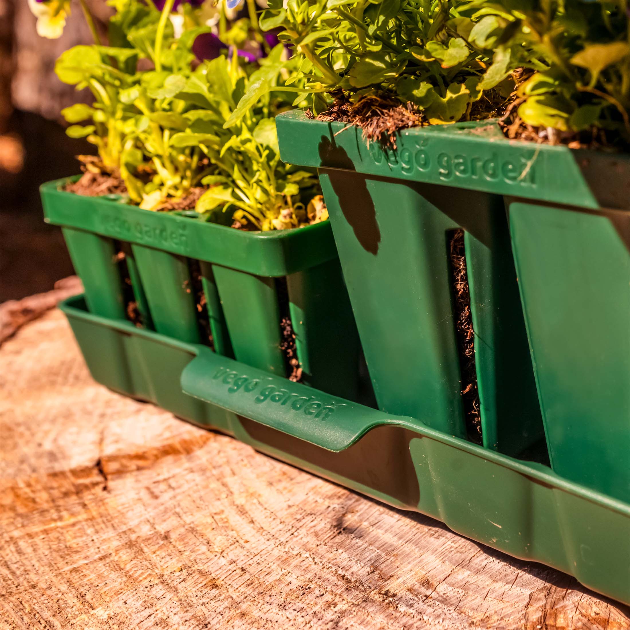 Seed Starting Bundle with Lid - 10" x 20" - Image 8