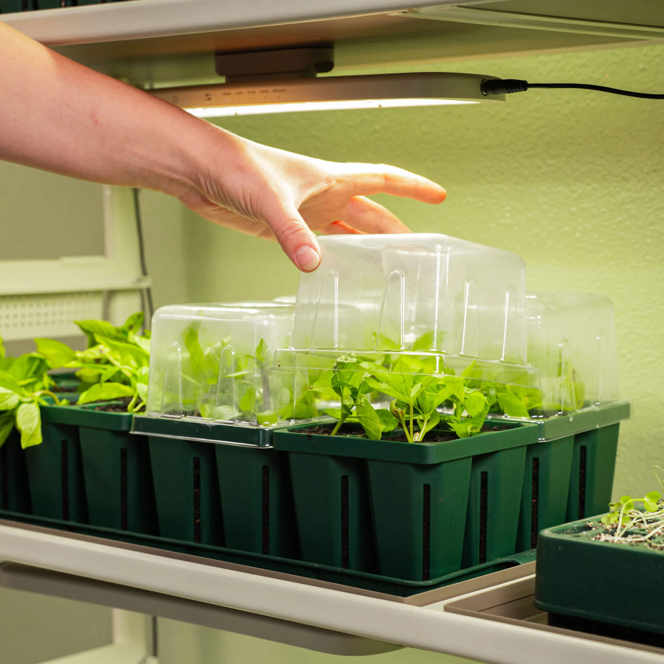 Seedling Drip Control Humidity Dome Gen 2 - 5" x 5" - Image 11