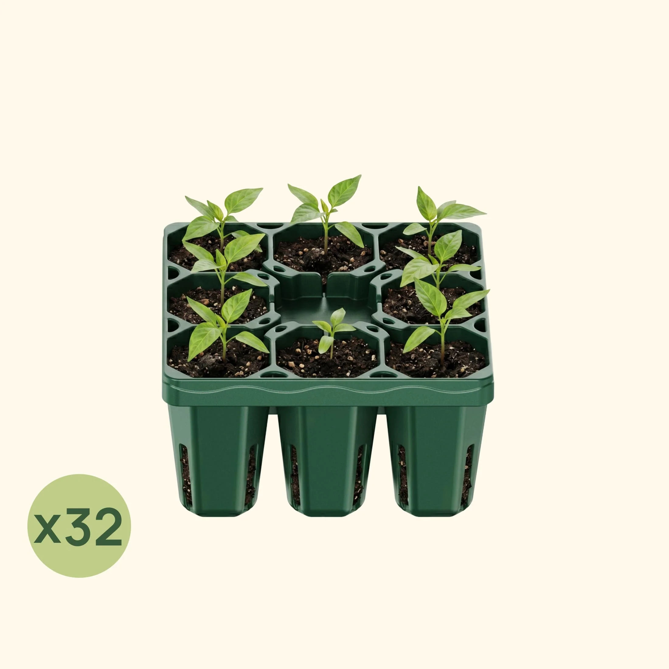 Standard Seedling Tray - 5" x 5" - Image 12