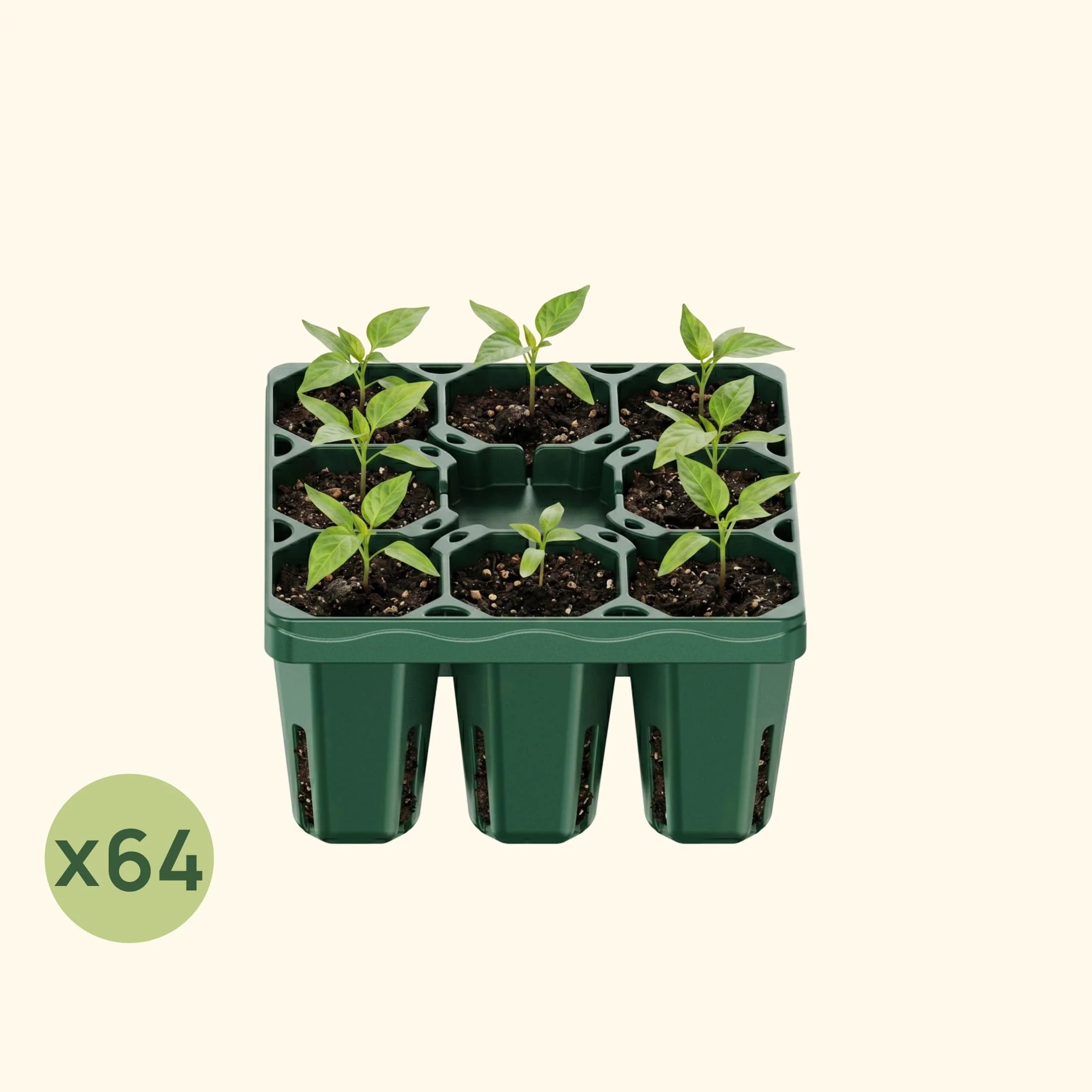 Standard Seedling Tray - 5" x 5" - Image 13