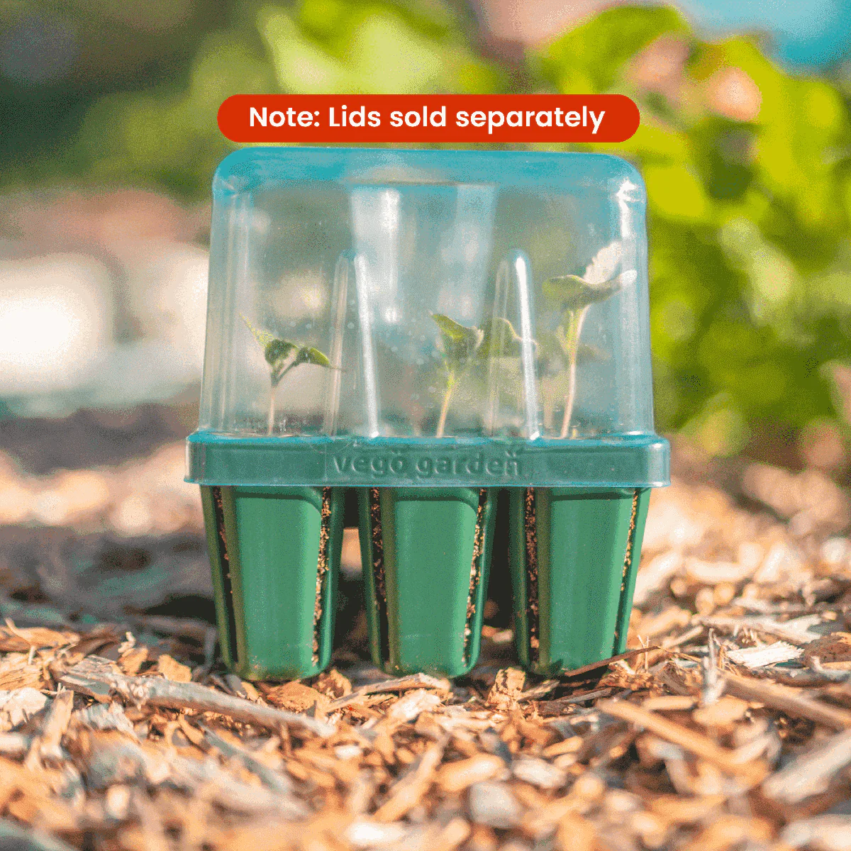 Standard Seedling Tray - 5" x 5" - Image 3