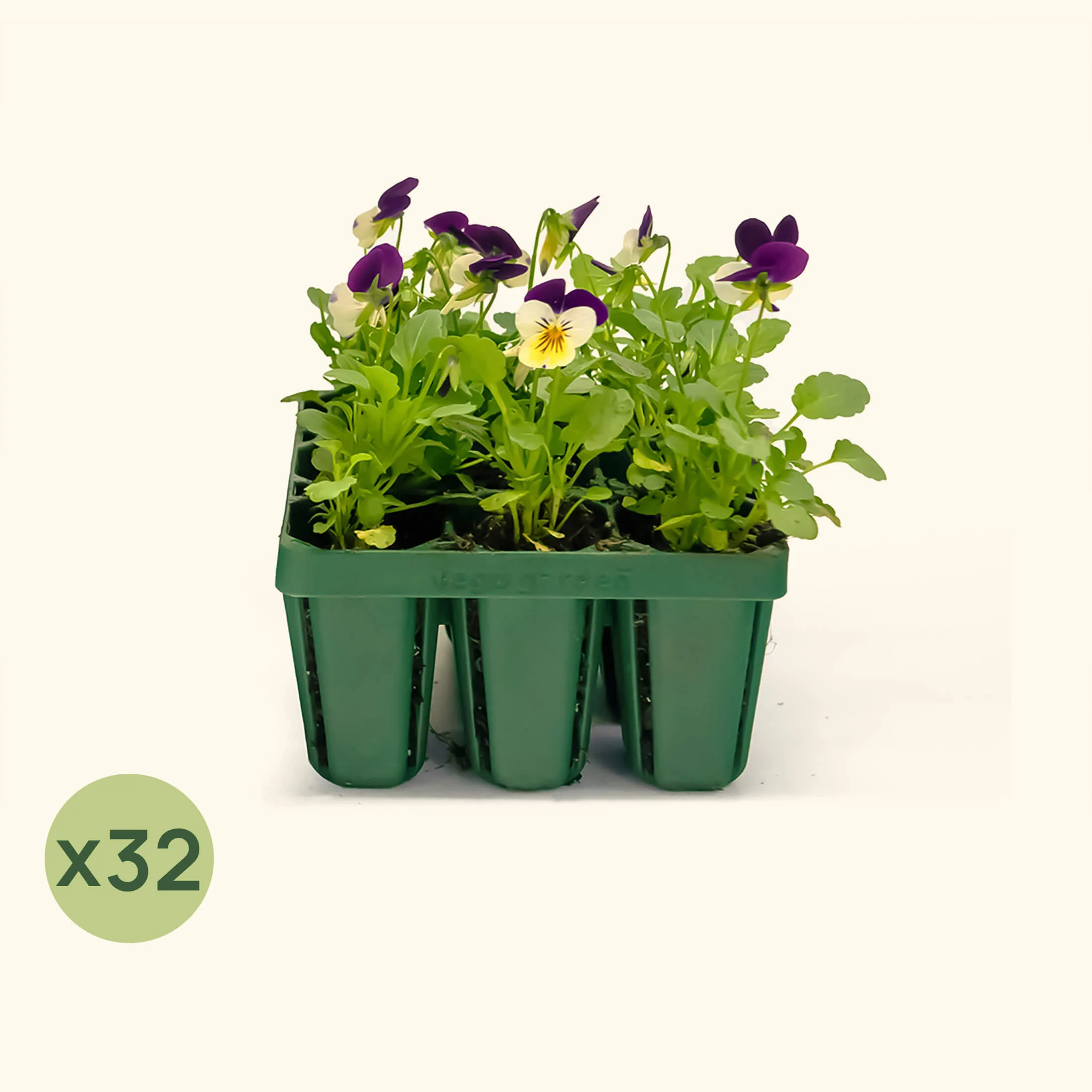 Standard Seedling Tray - 5" x 5" - Image 8