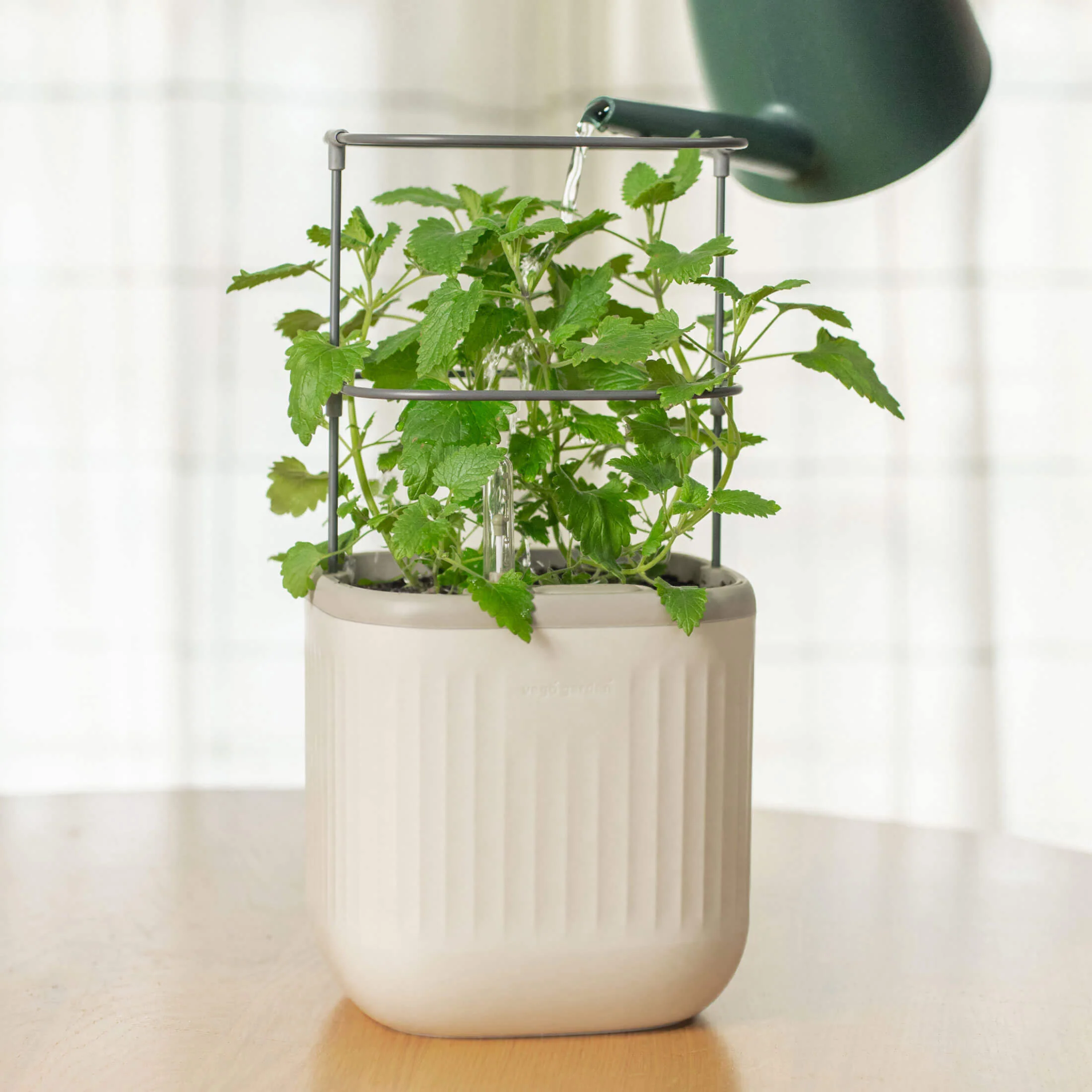 EZ Self-Watering Mini Planter Pot with Trellis - Image 17