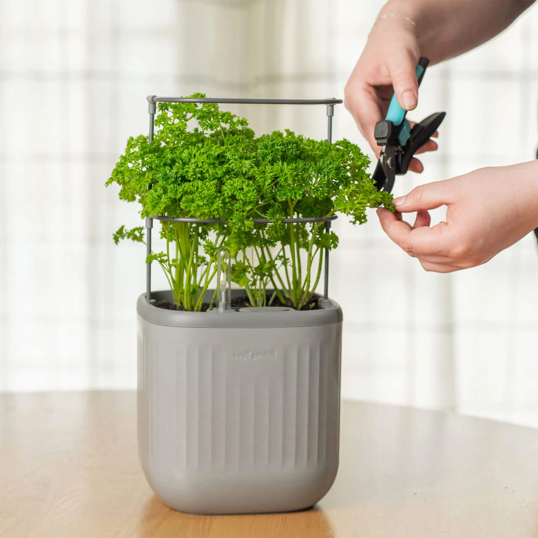EZ Self-Watering Mini Planter Pot with Trellis - Image 18