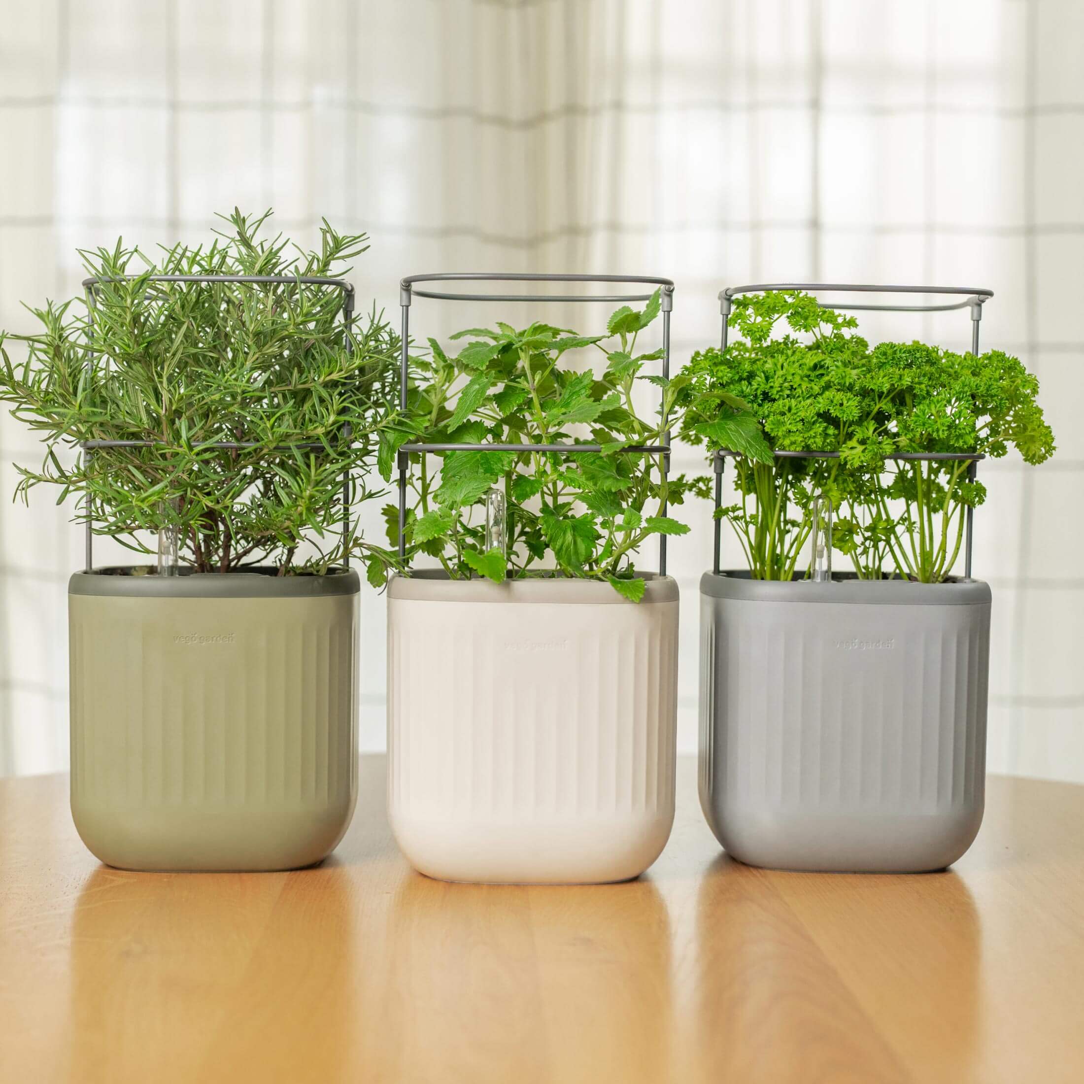 EZ Self-Watering Mini Planter Pot with Trellis - Image 9