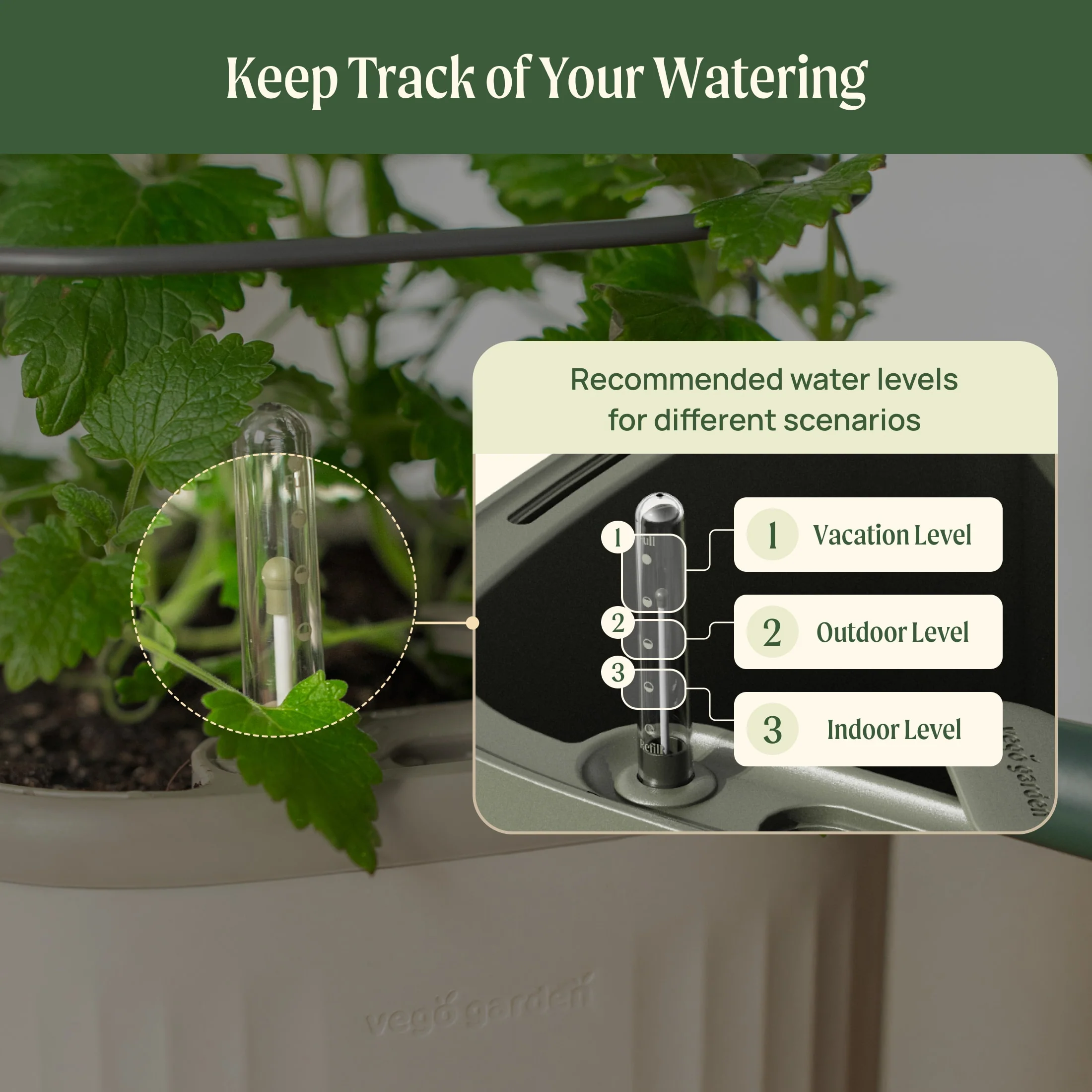 EZ Self-Watering Mini Planter Pot with Trellis - Image 6