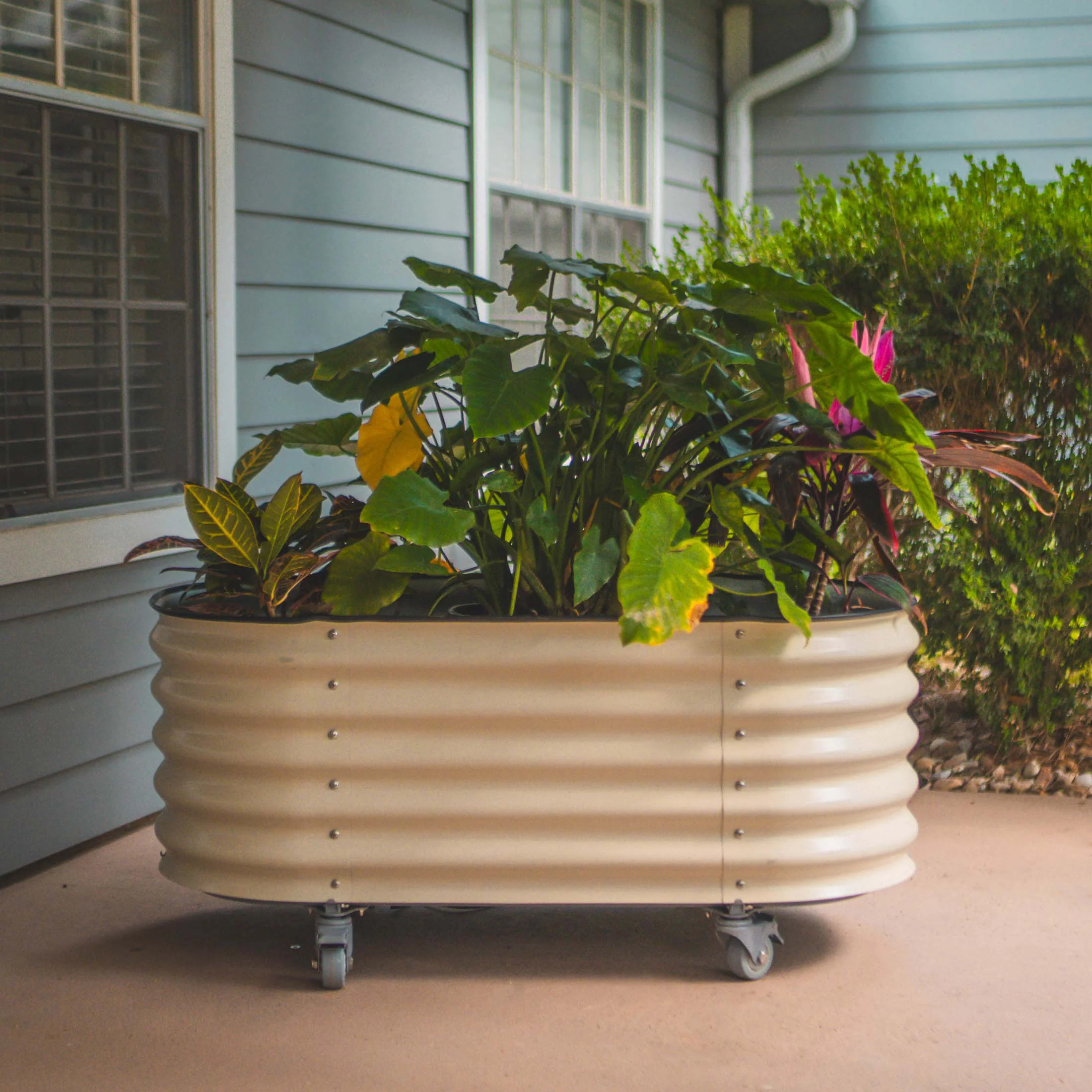 Self-Watering Rolling Garden Bed - 2' x 4' - Image 18