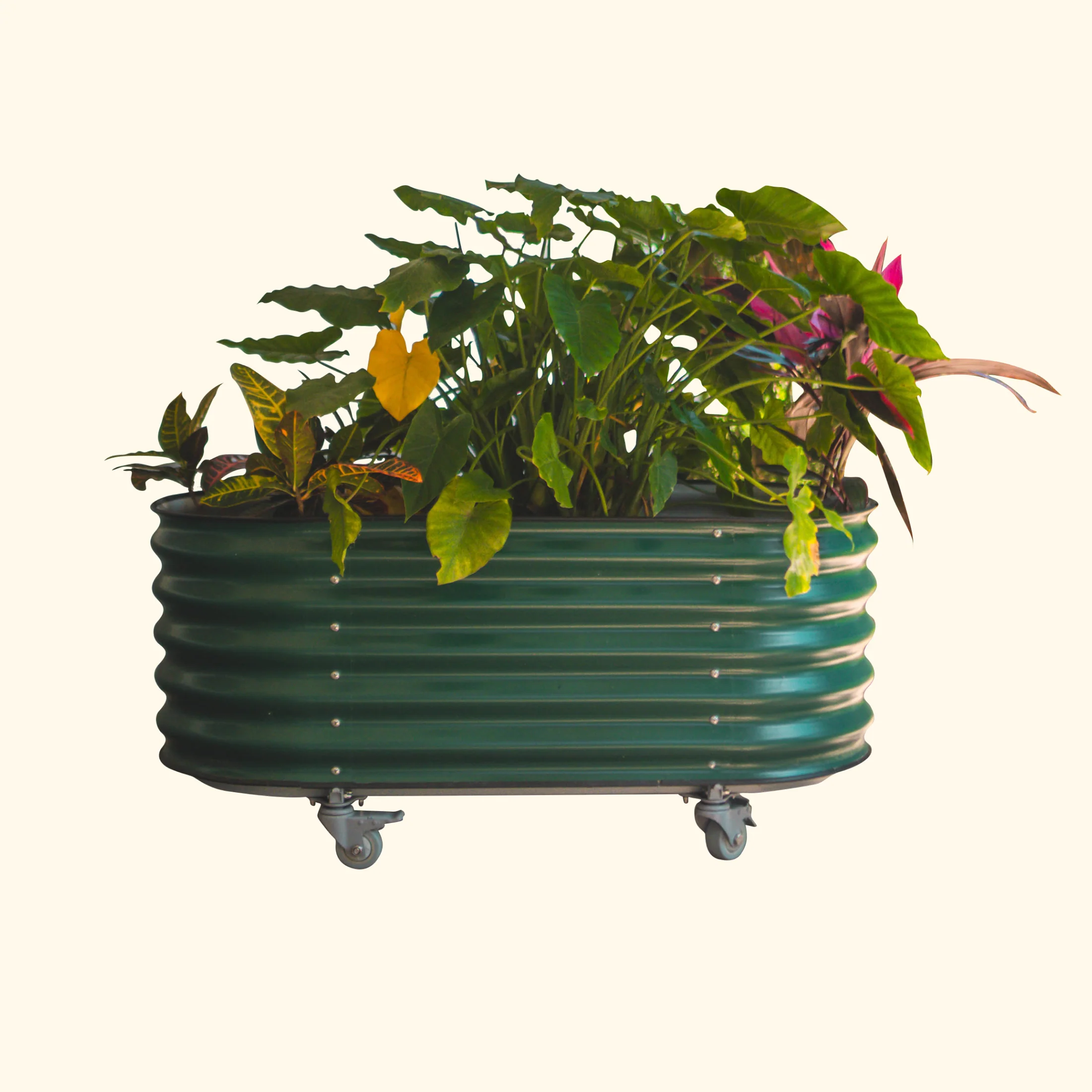 Self-Watering Rolling Garden Bed - 2' x 4' - Image 3