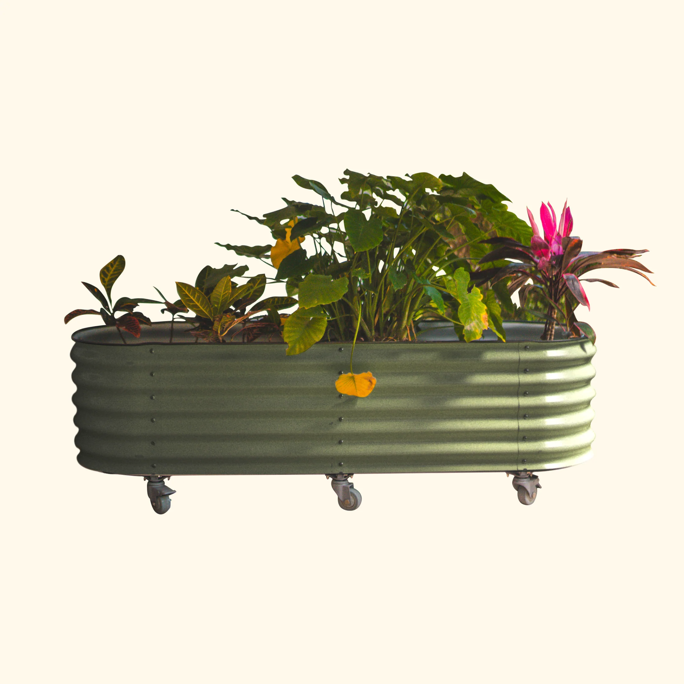 Self-Watering Rolling Garden Bed - 2' x 4' - Image 7