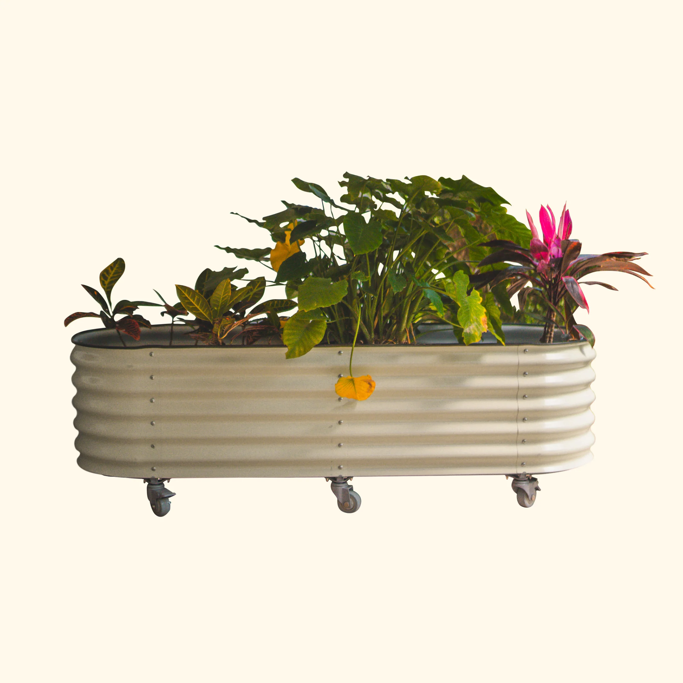 Self-Watering Rolling Garden Bed - 2' x 4' - Image 8