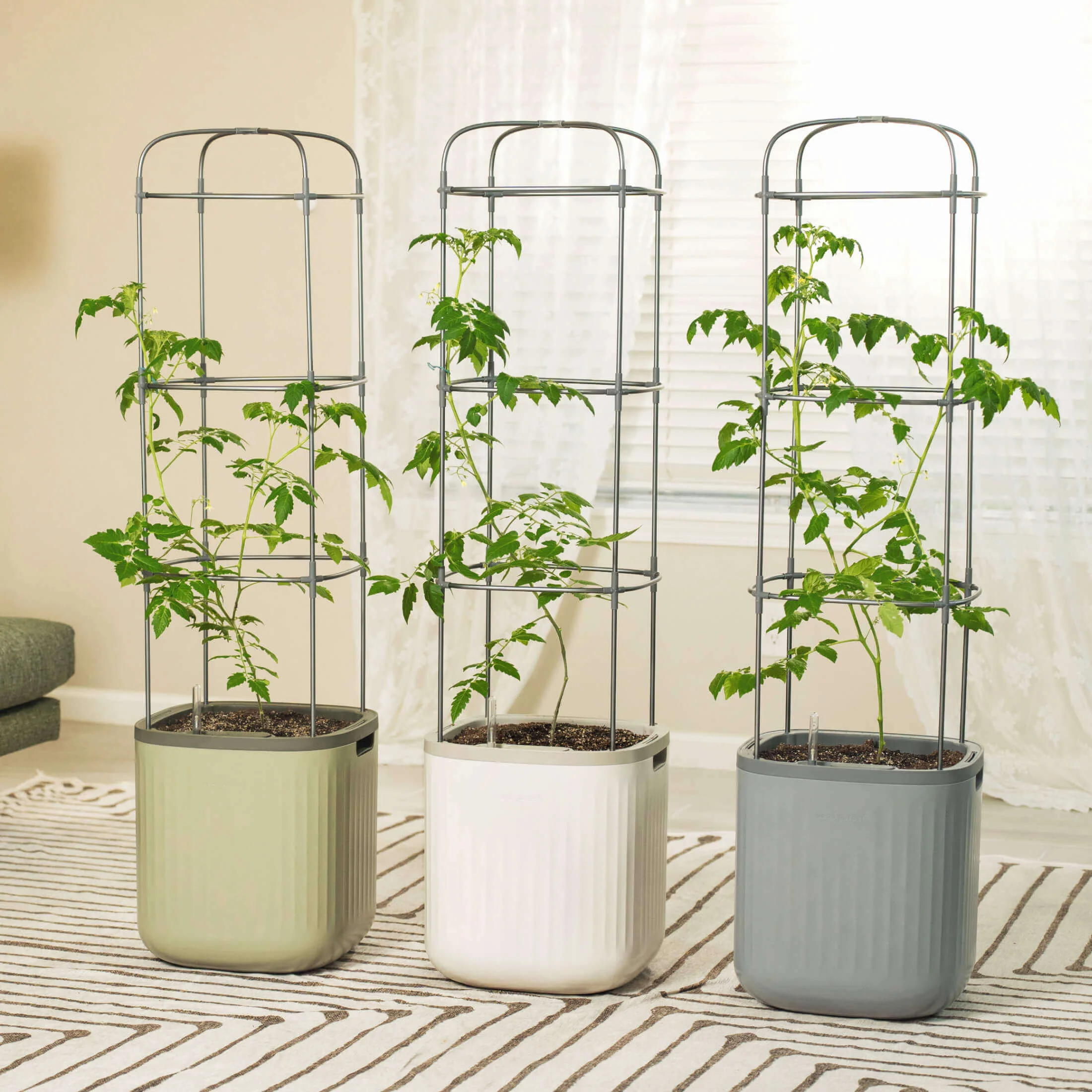 EZ Self-Watering Tomato Planter with Trellis - Image 11