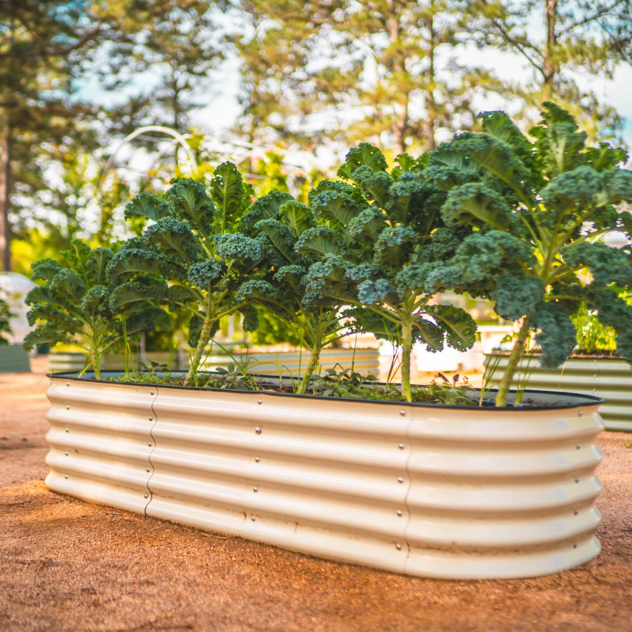 17" Tall 6 In 1 Medium Modular Metal Raised Garden Bed Kit - Image 16