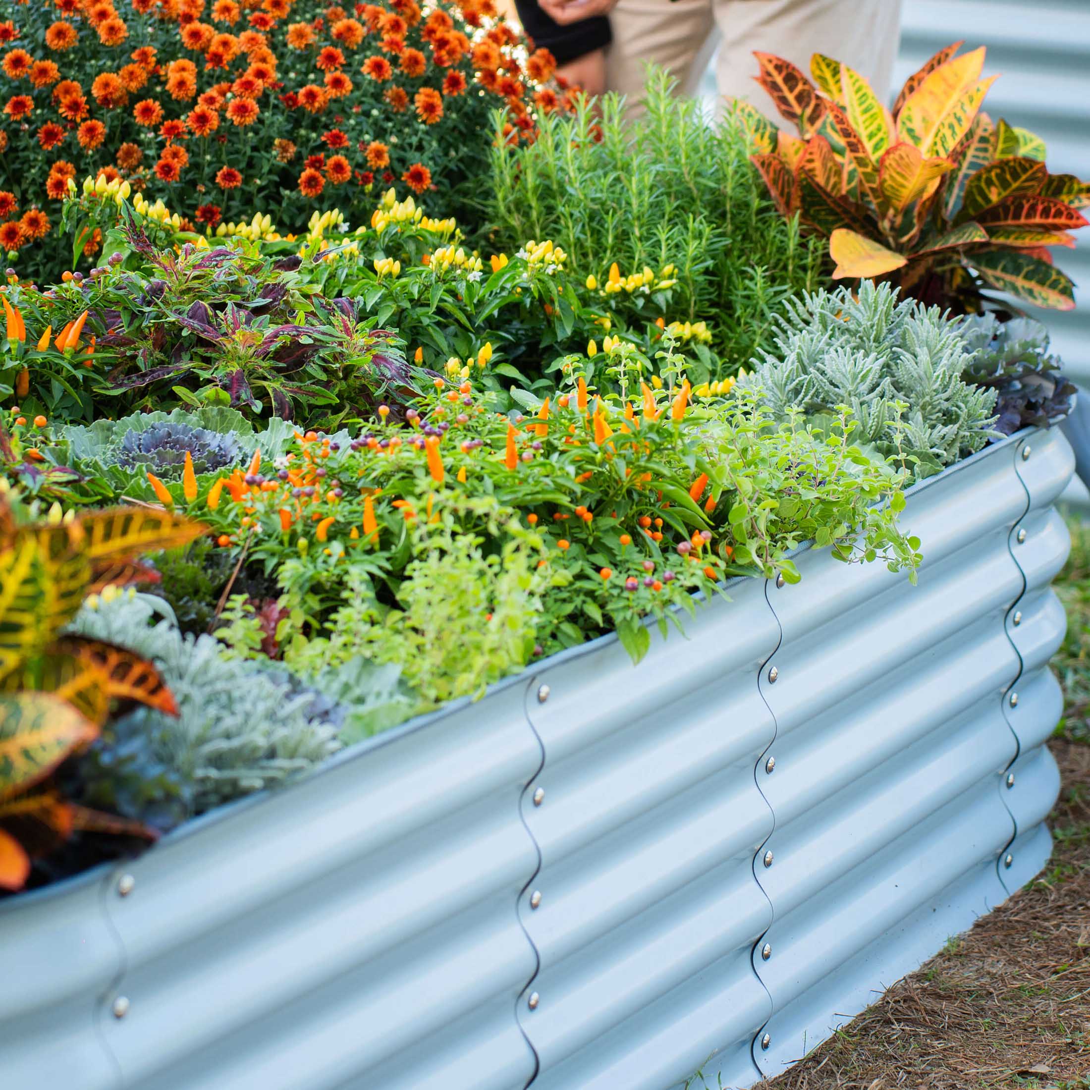 17" Tall 6 In 1 Medium Modular Metal Raised Garden Bed Kit - Image 19