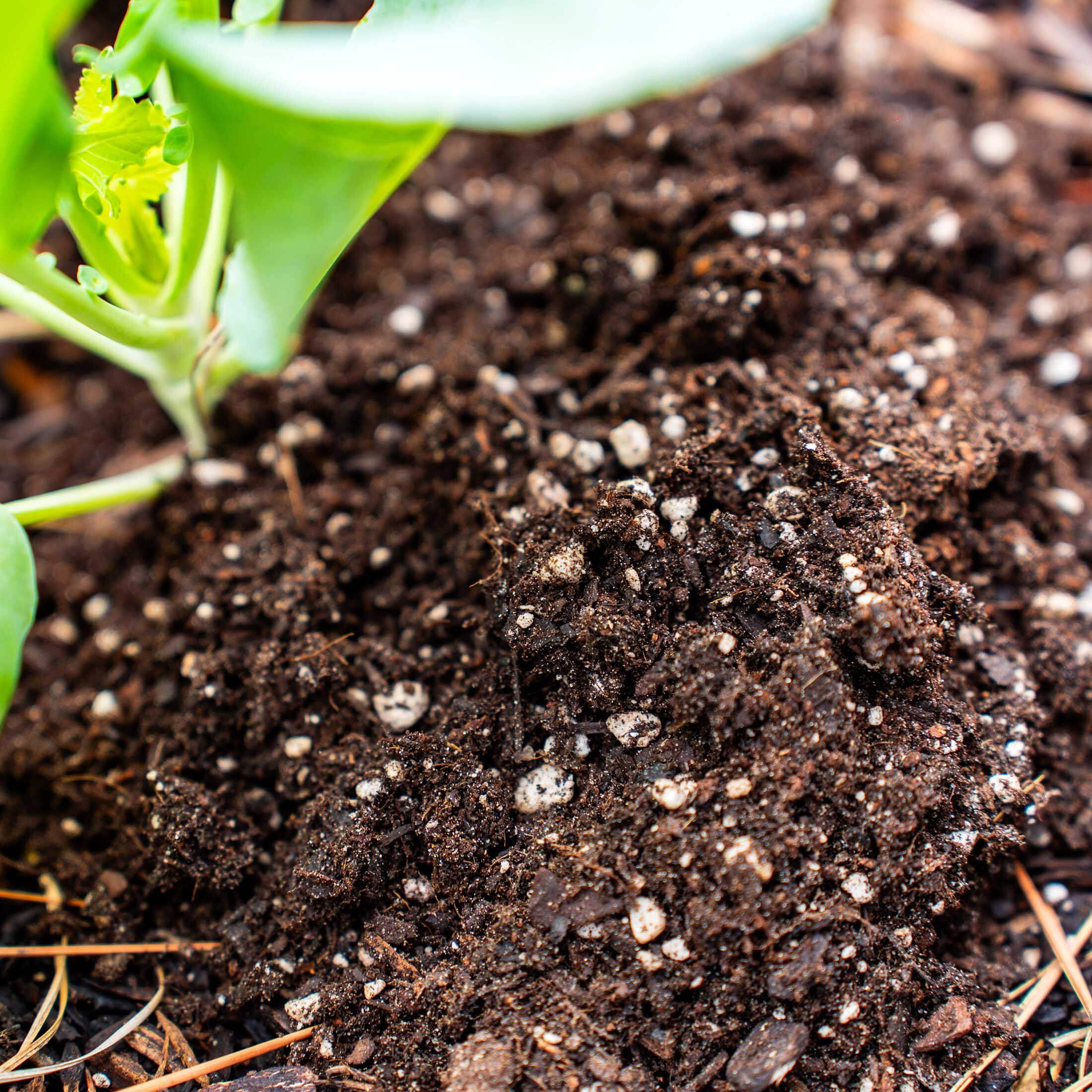 Vego Garden Finishing Soil - Image 4